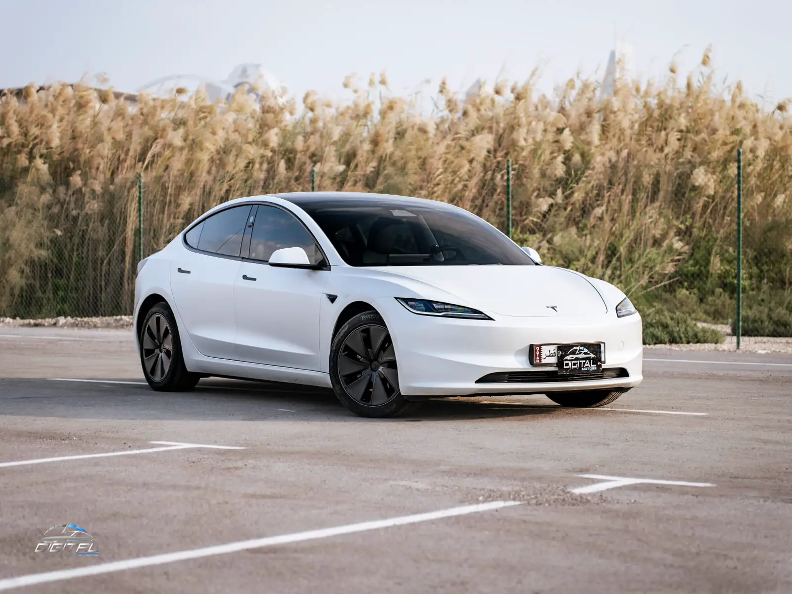 Tesla Model 3 2025
