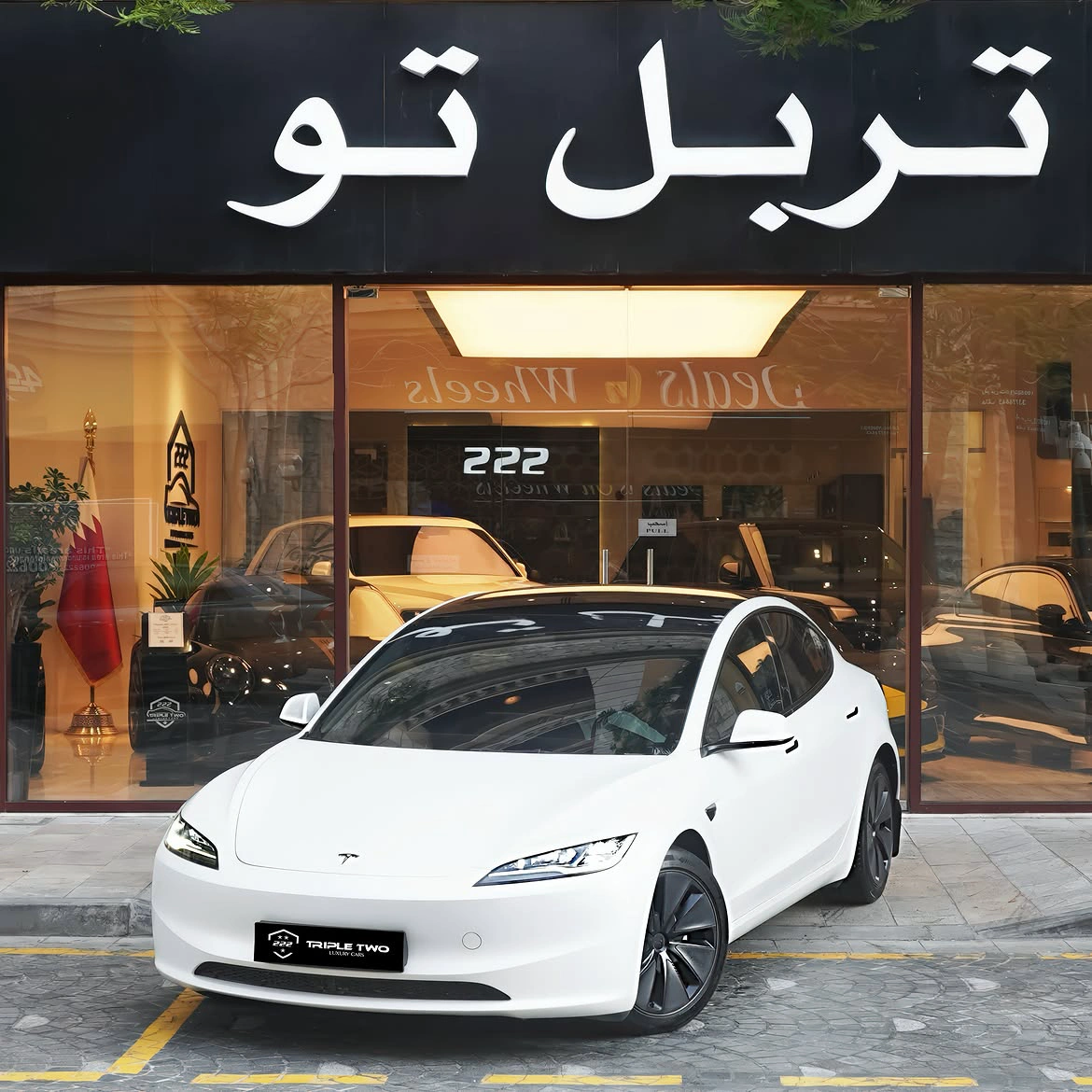 Tesla Model 3 2024