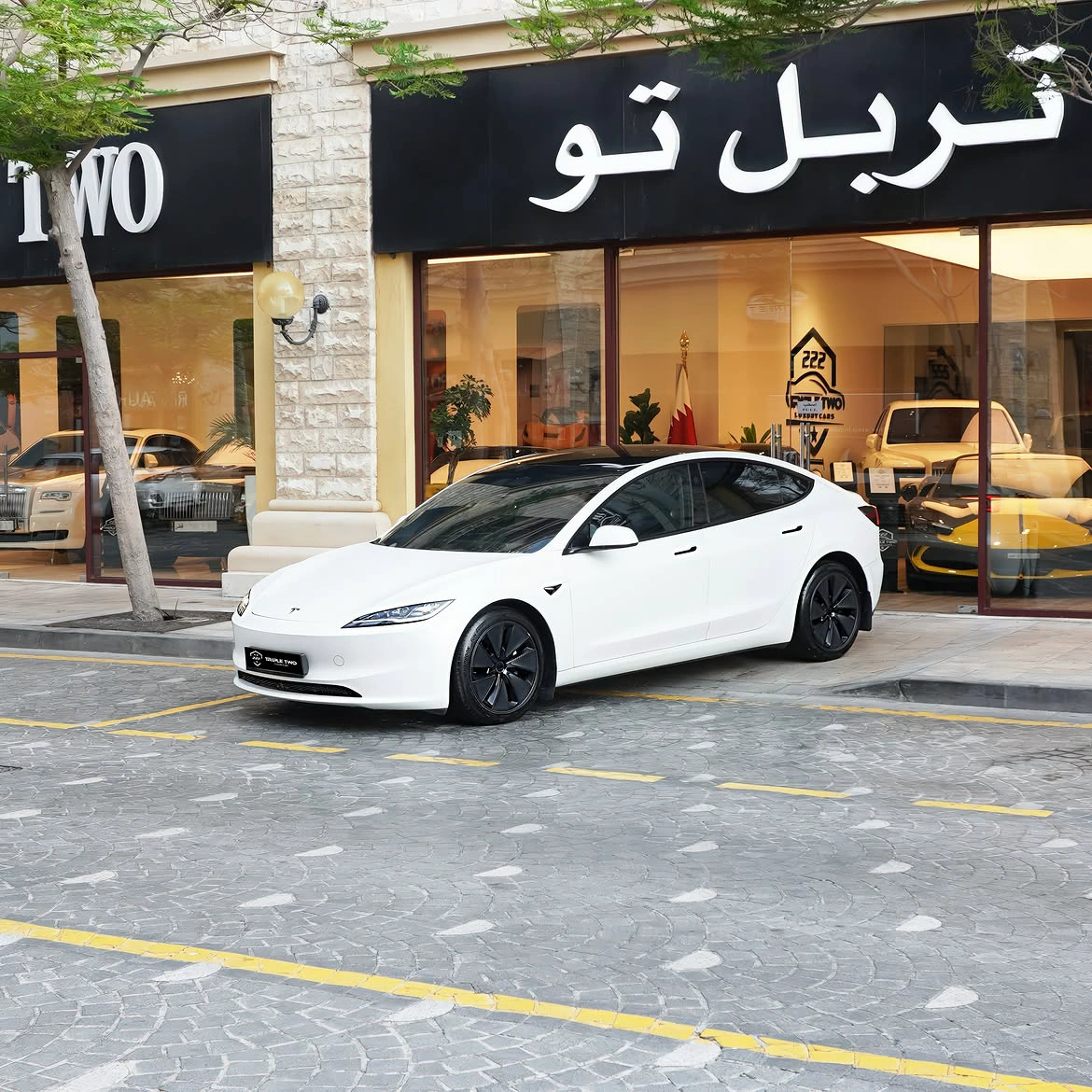 Tesla Model 3 2024