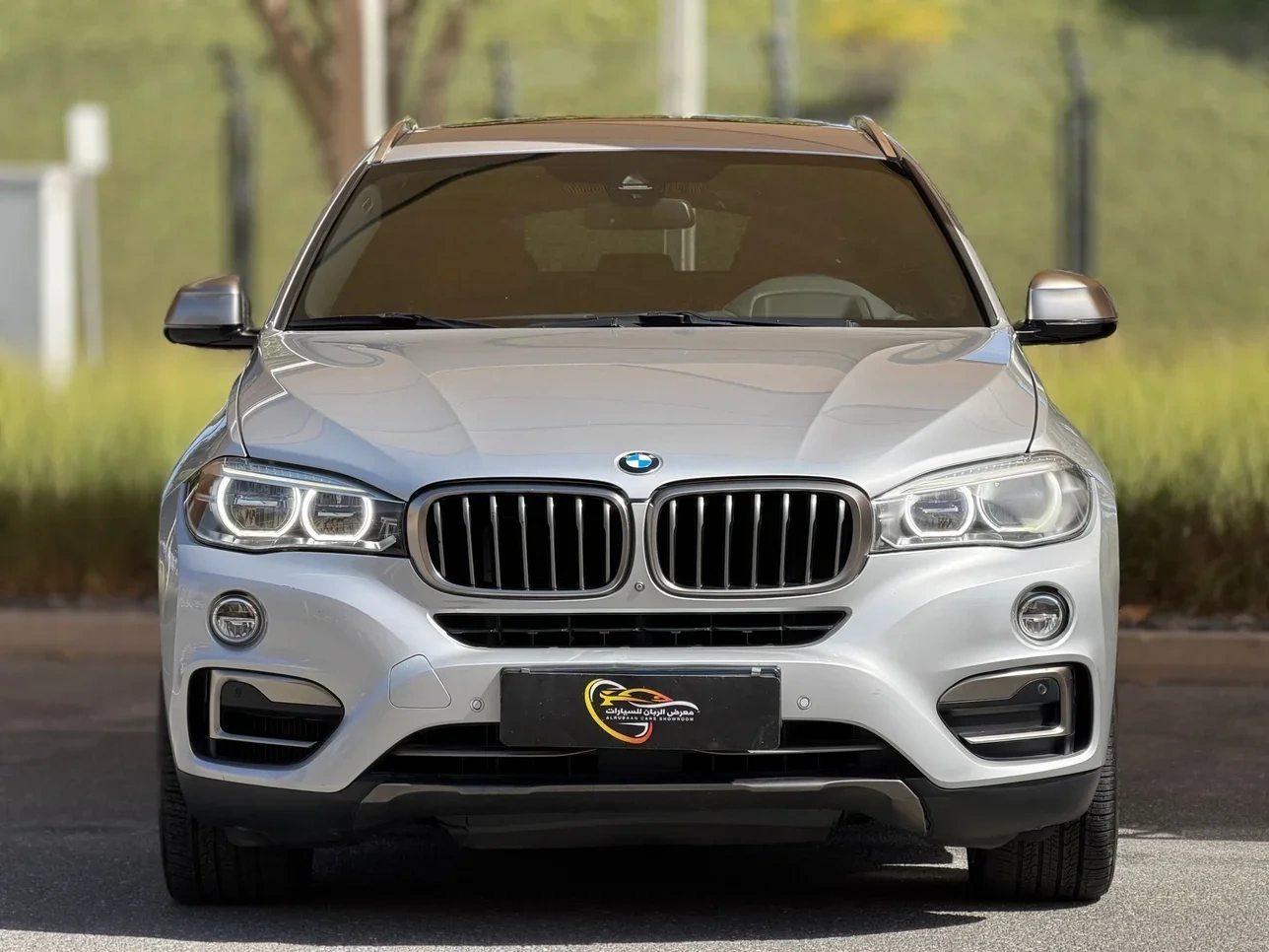 BMW X6 2017