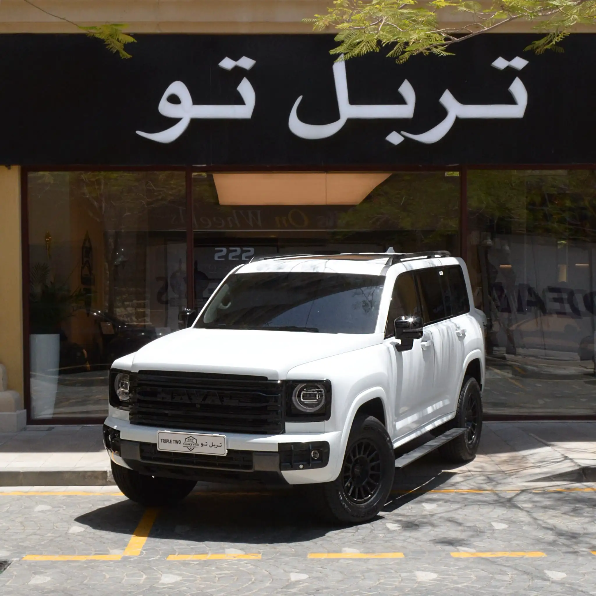 Great Wall HAVAL H9 2024