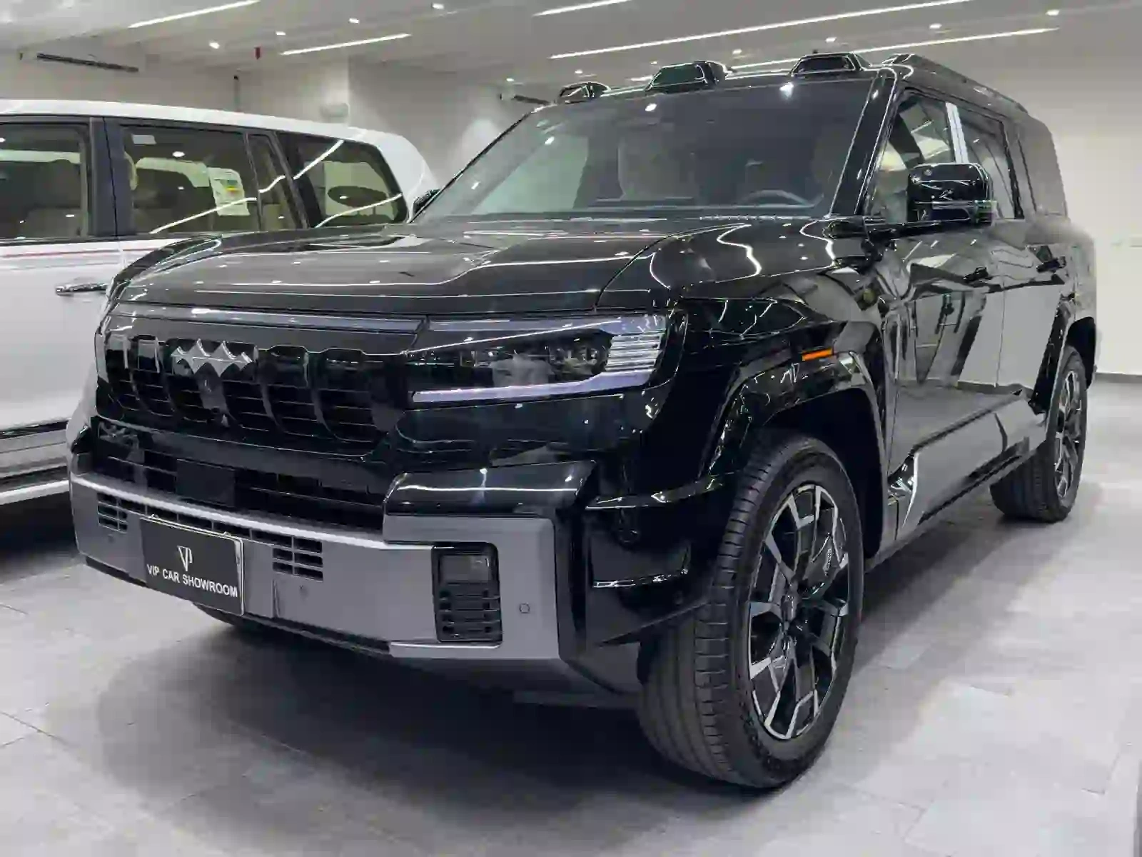 BYD LEOPARD 8 2025