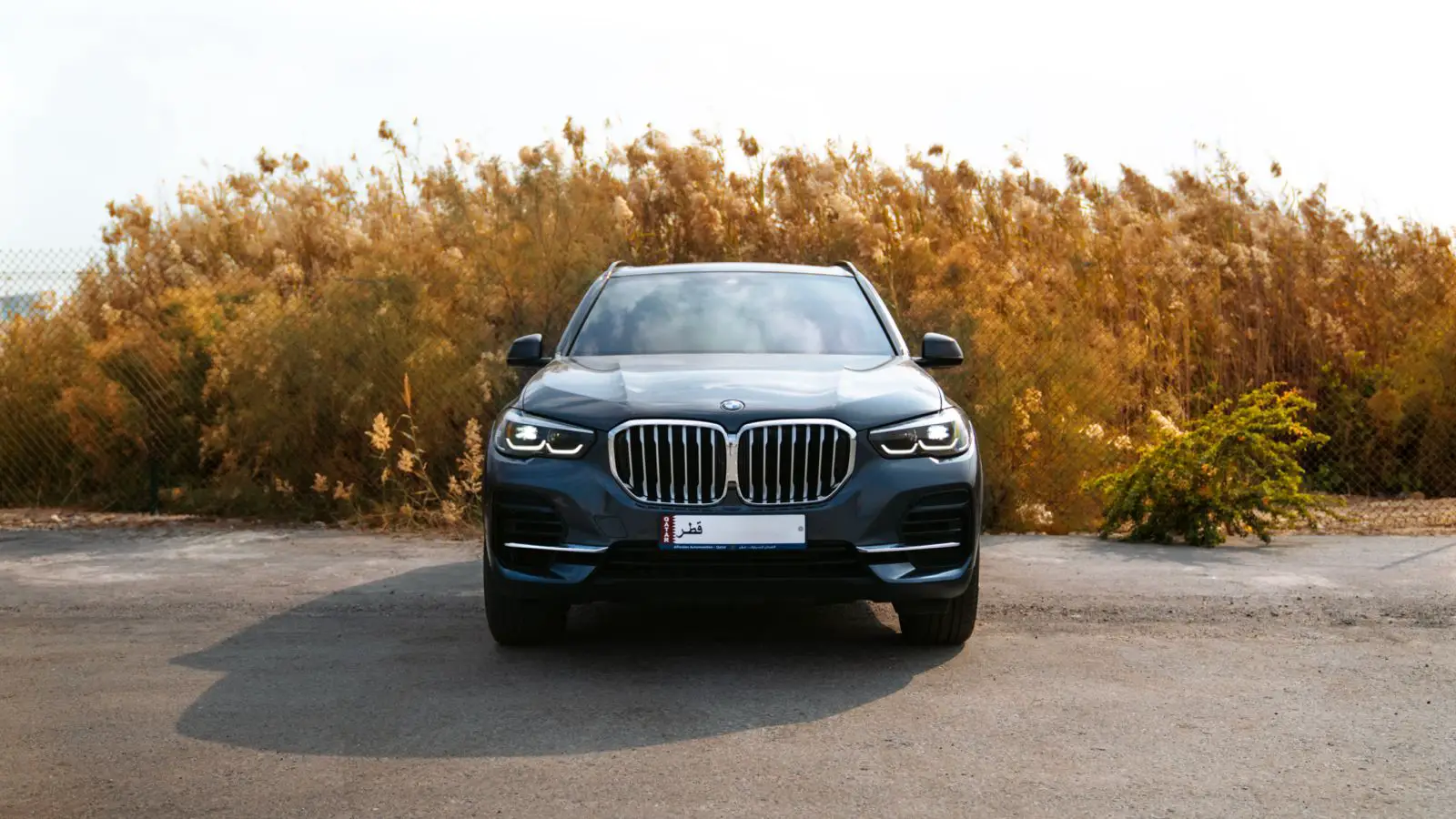 BMW X5 2023