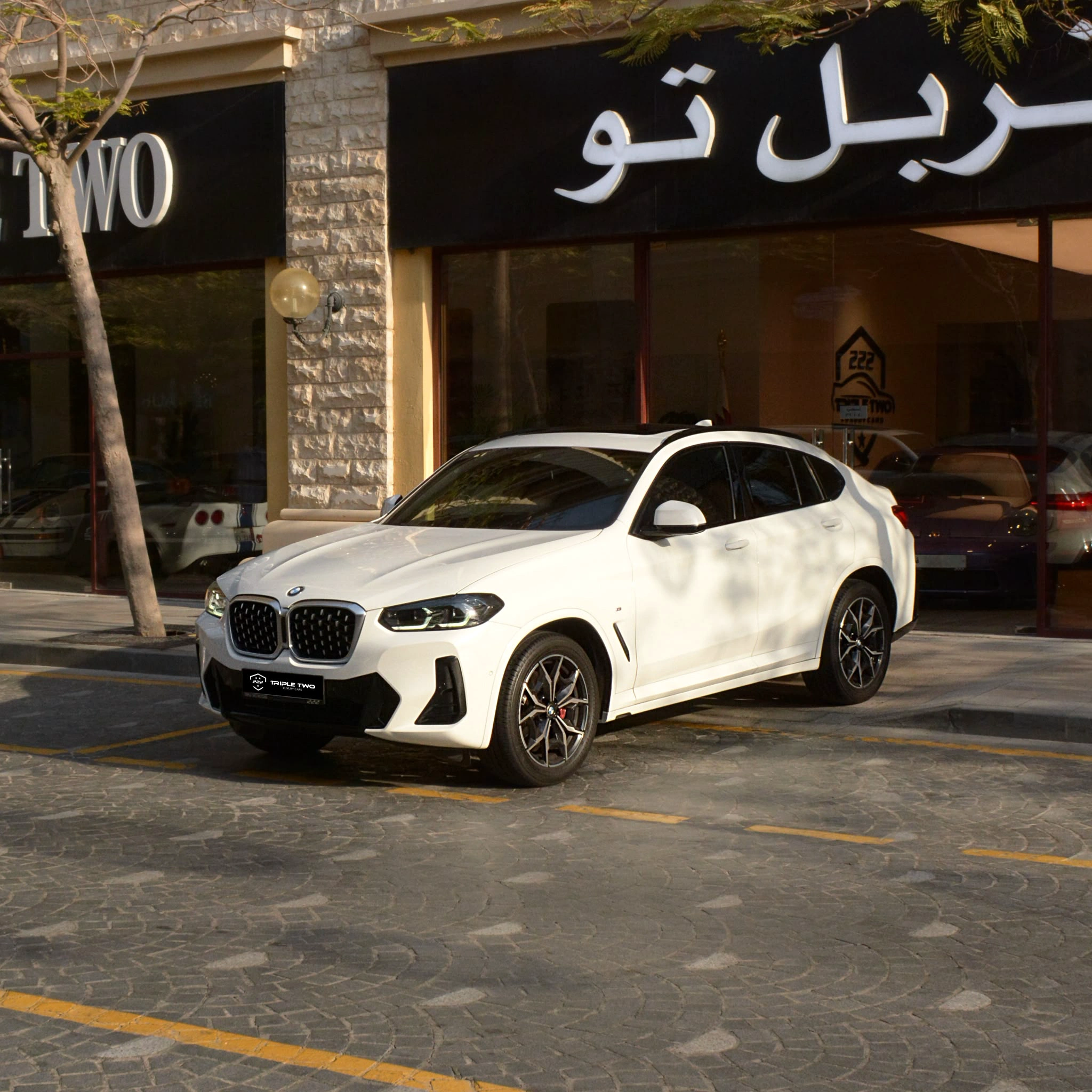 BMW X4 2022