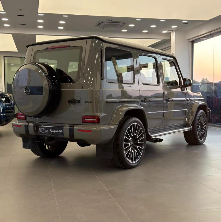 Mercedes G 500 2019