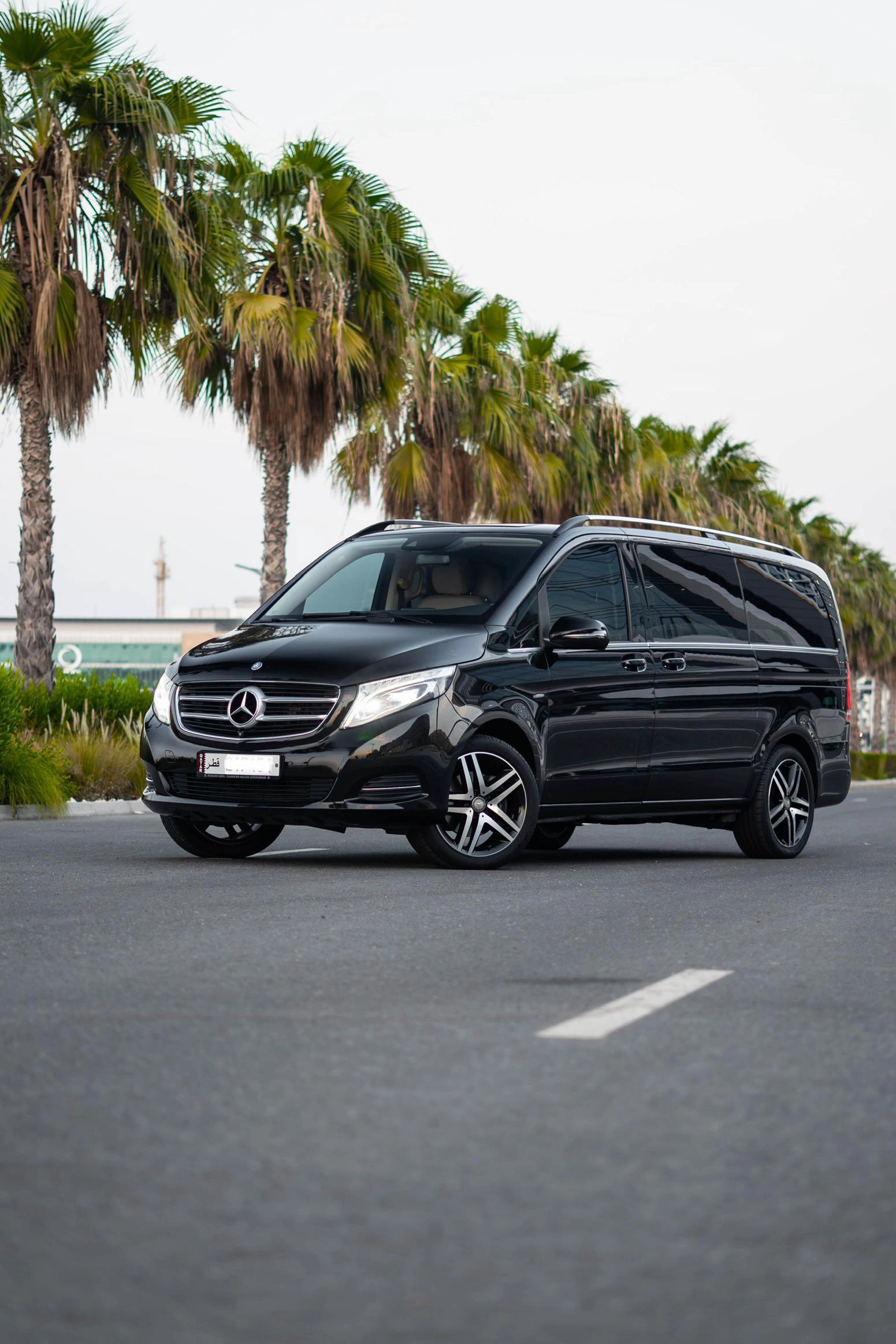 Mercedes Viano 2017