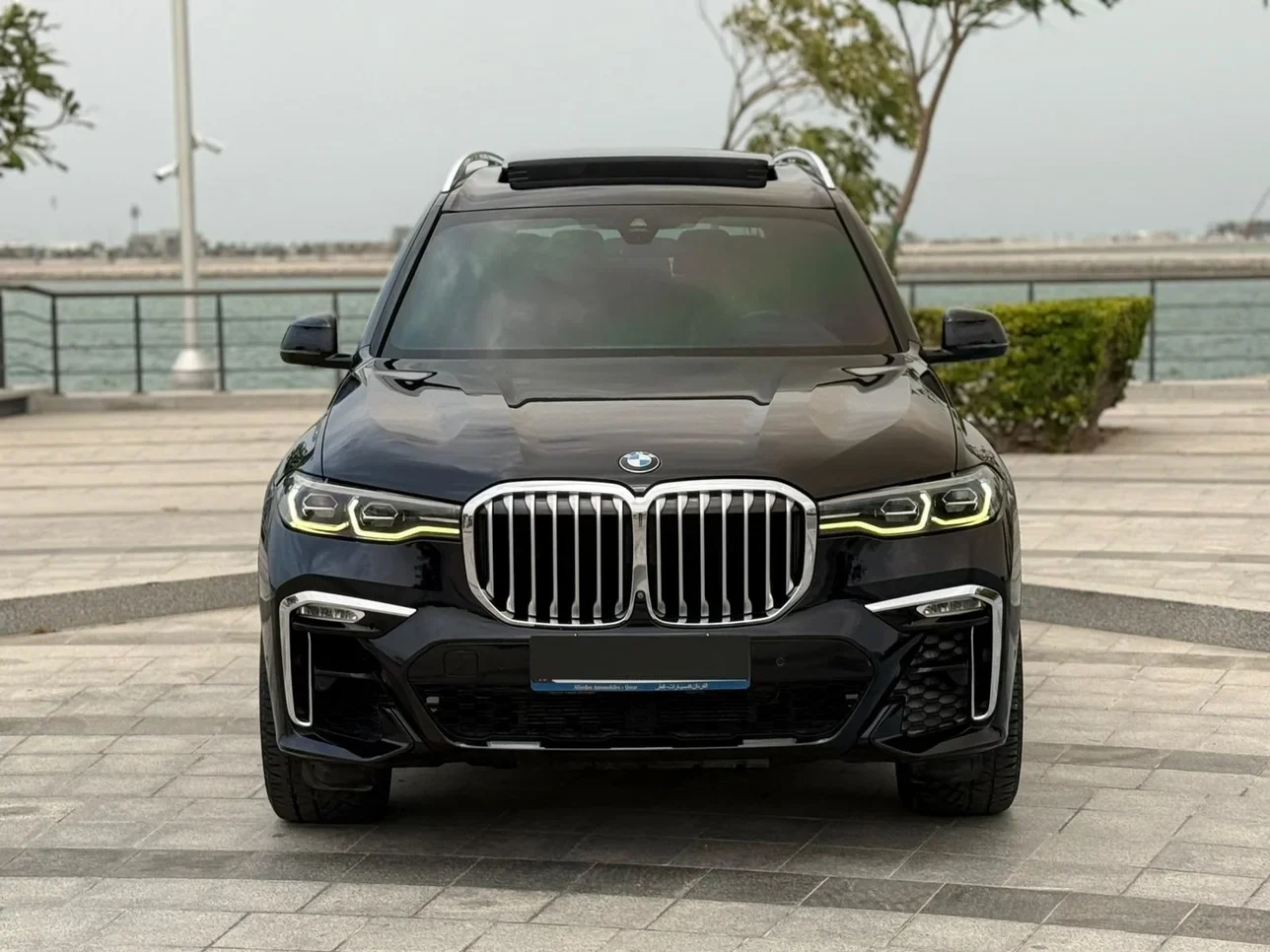 BMW X7 2019
