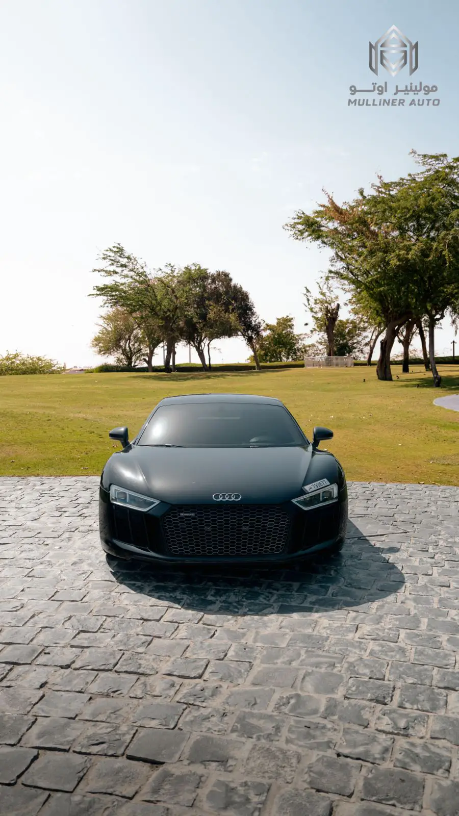 Audi R8 2017