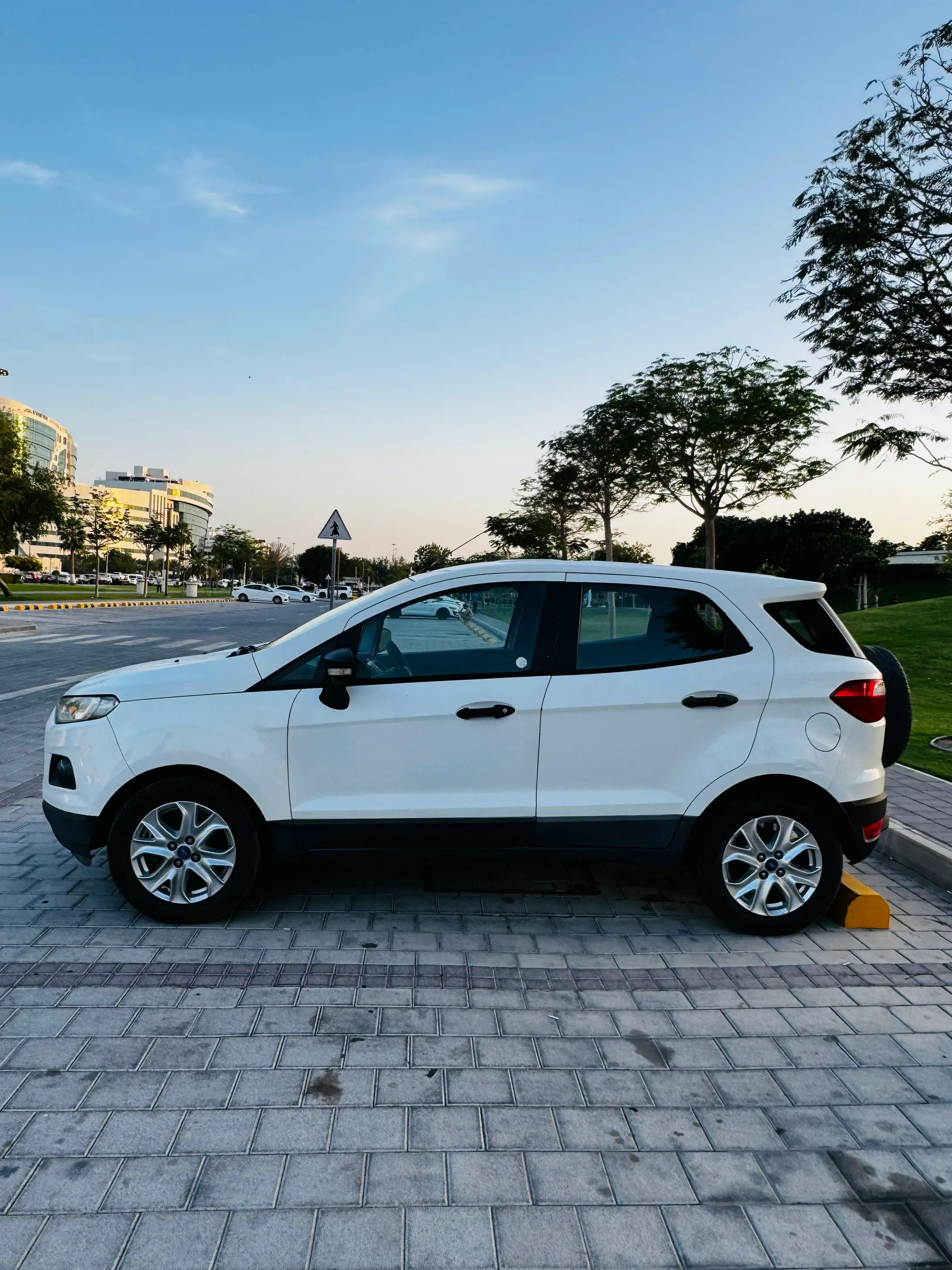 Ford EcoSport 2014