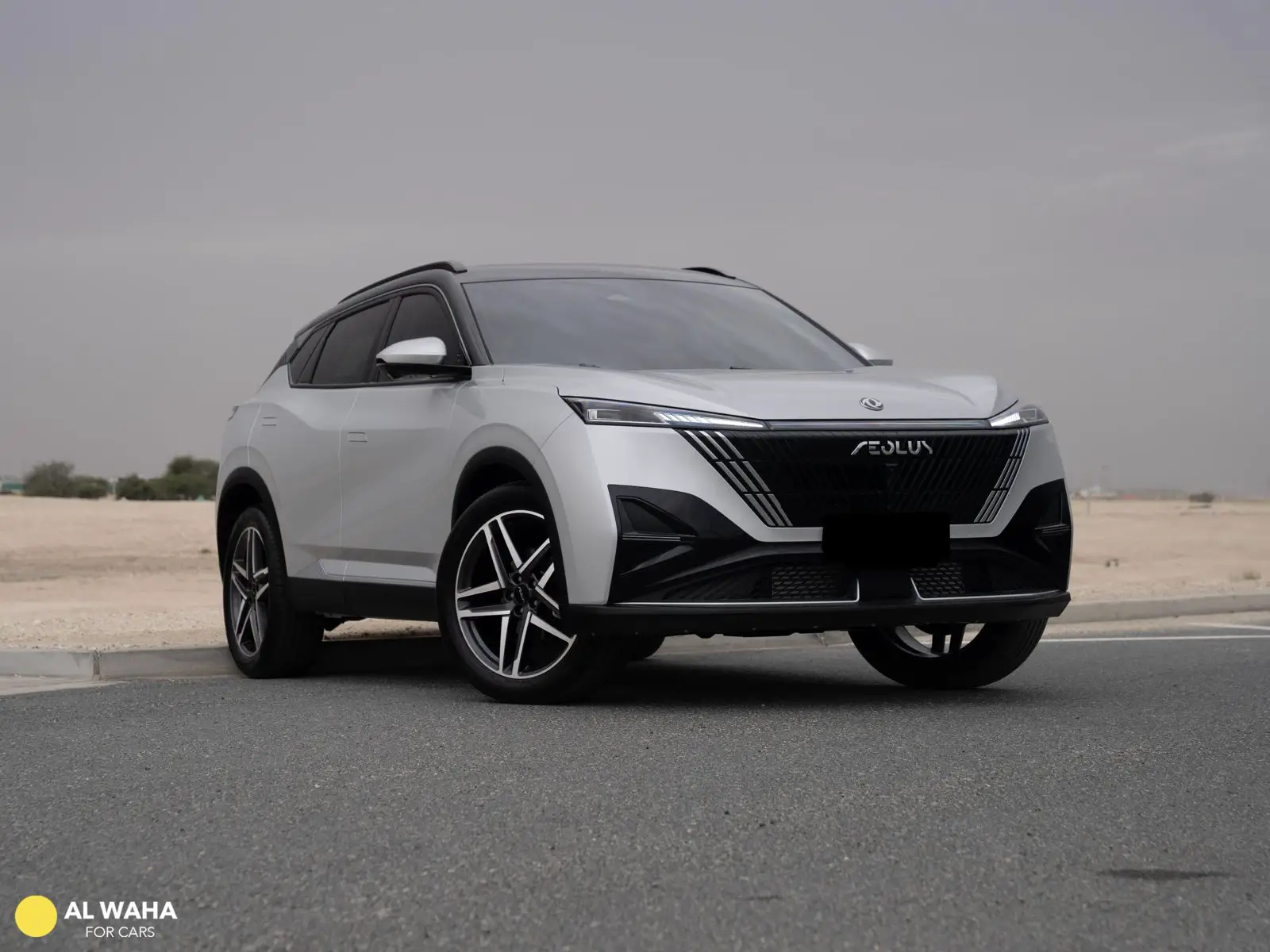 DongFeng MAGE 2025