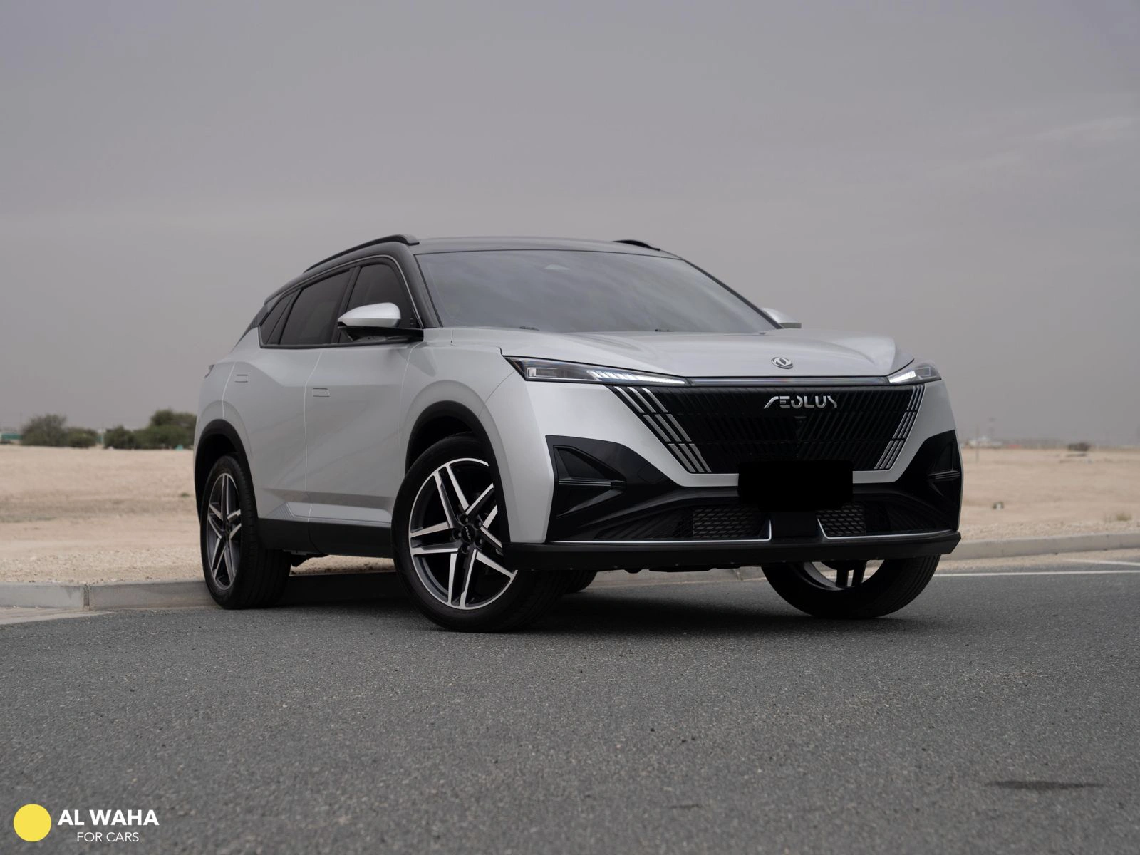 DongFeng MAGE 2025