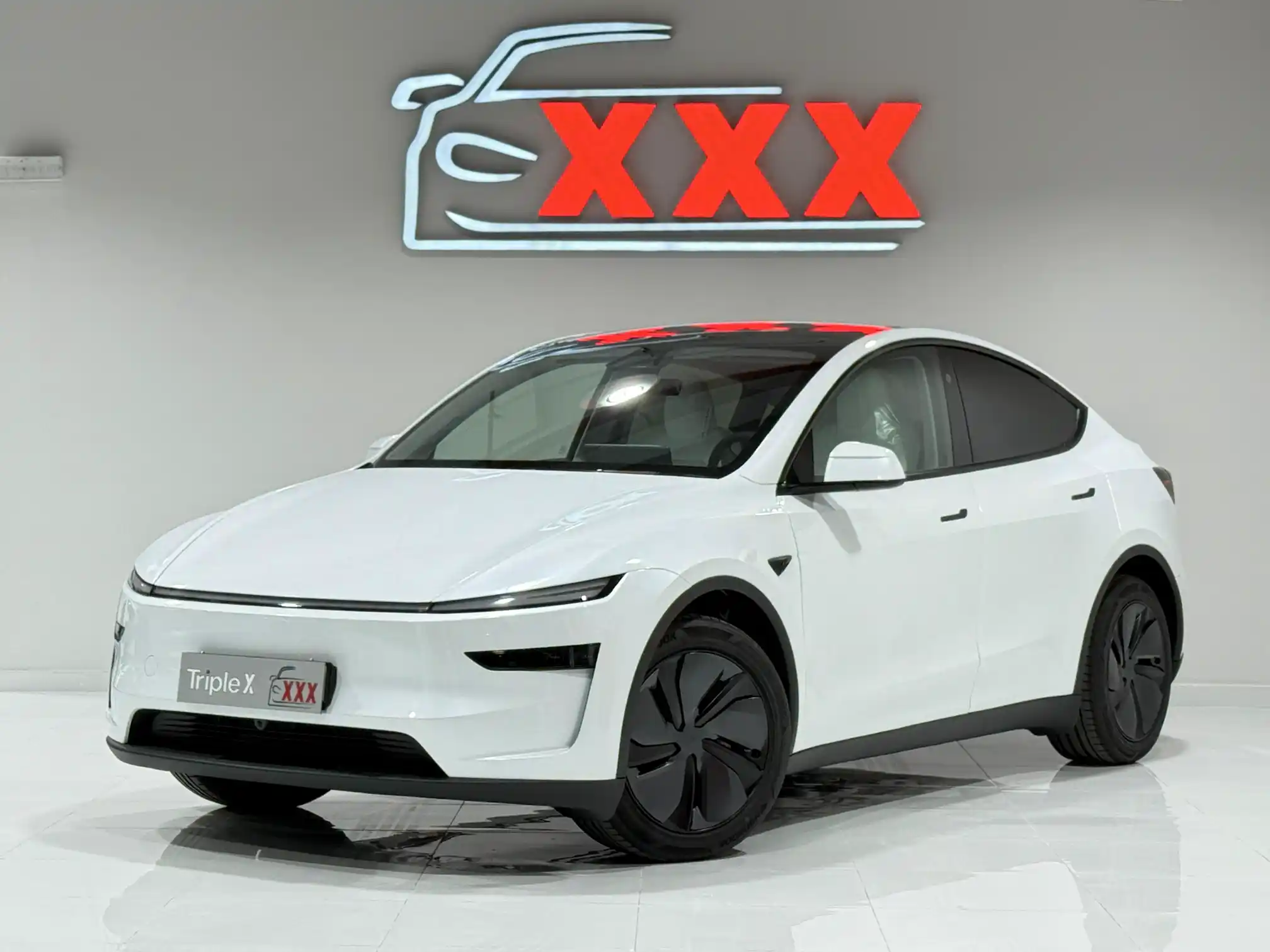 Tesla Model Y Long Range (Brand New)