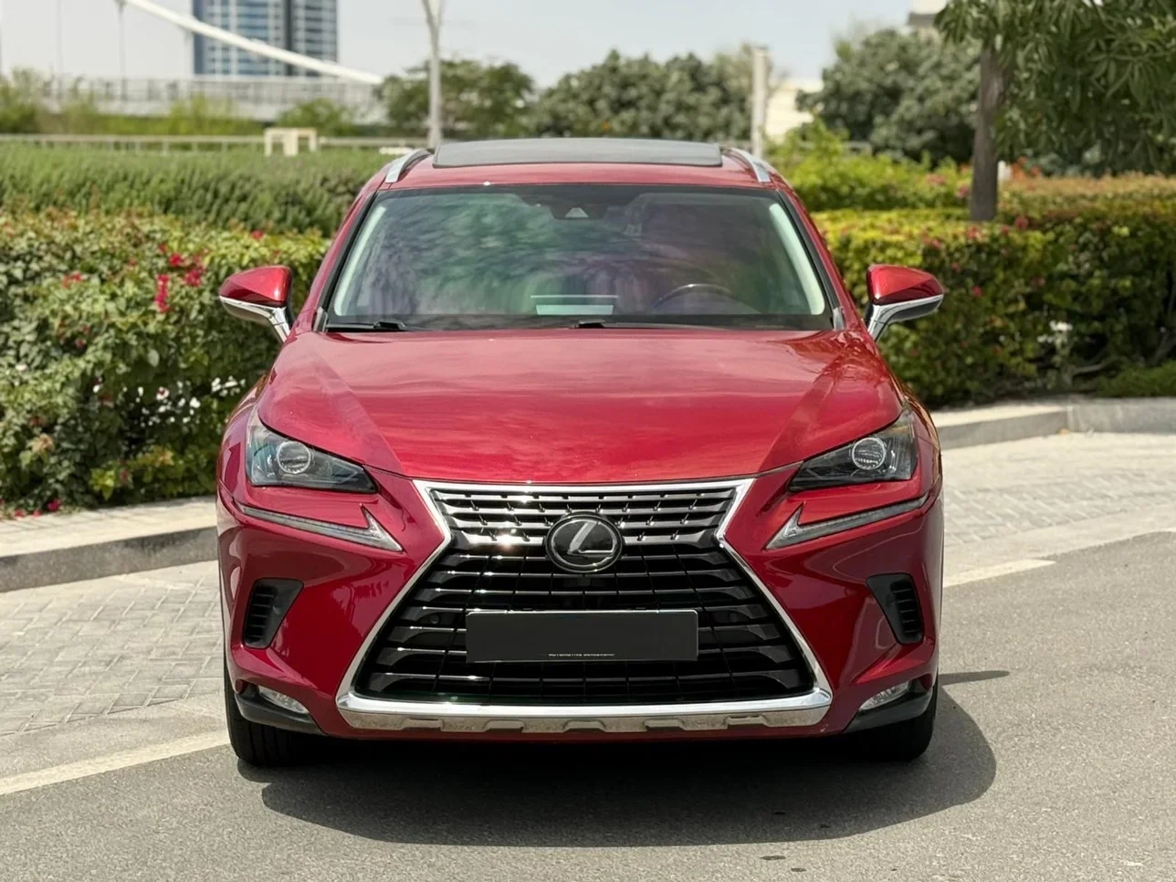 Lexus NX 300 2022