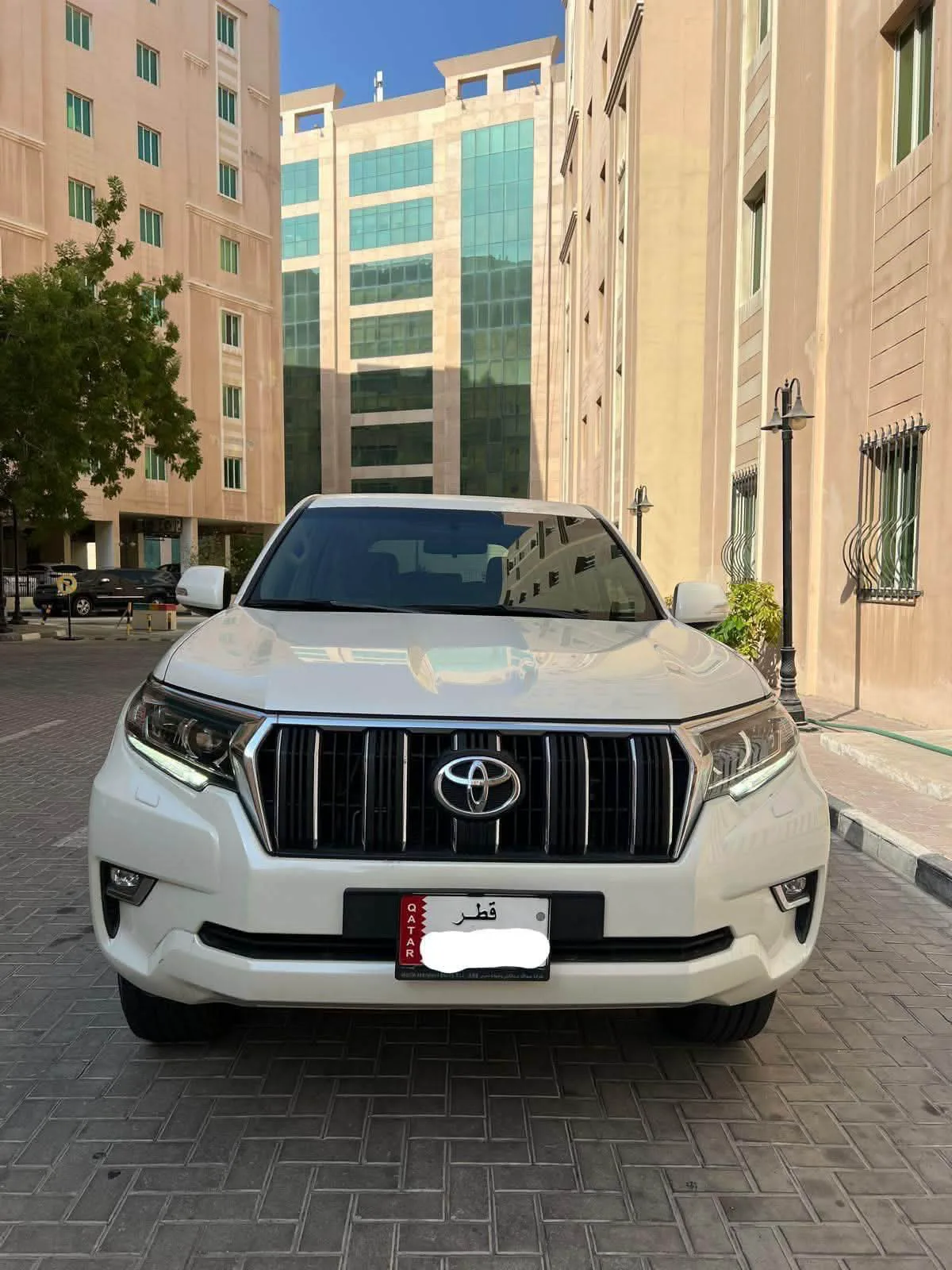 Toyota Prado TXL 2019