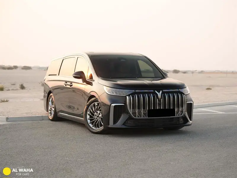 VOYAH DREAM PHEV 2025