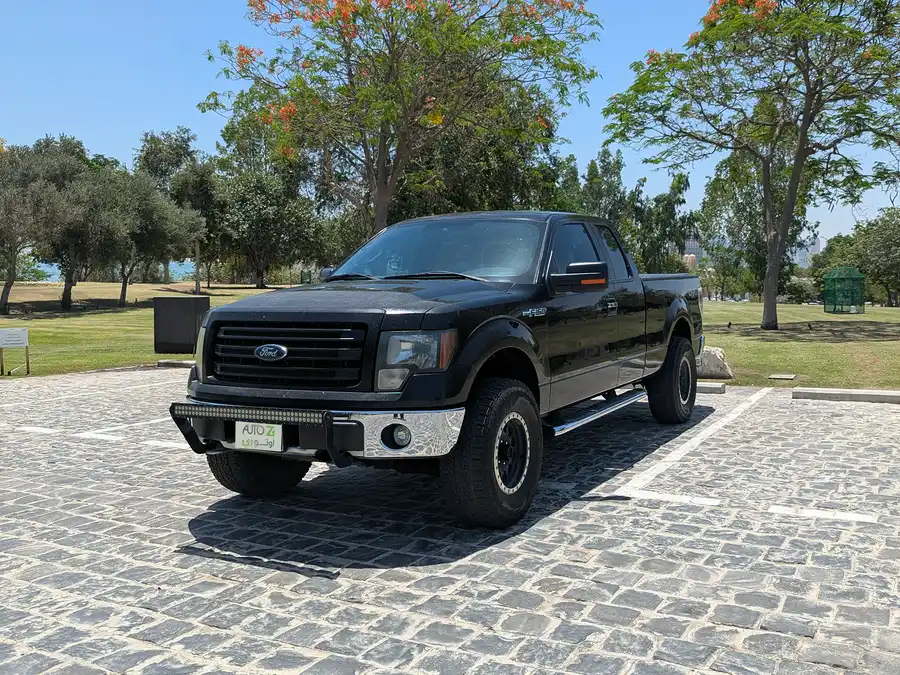 Ford F150 2013