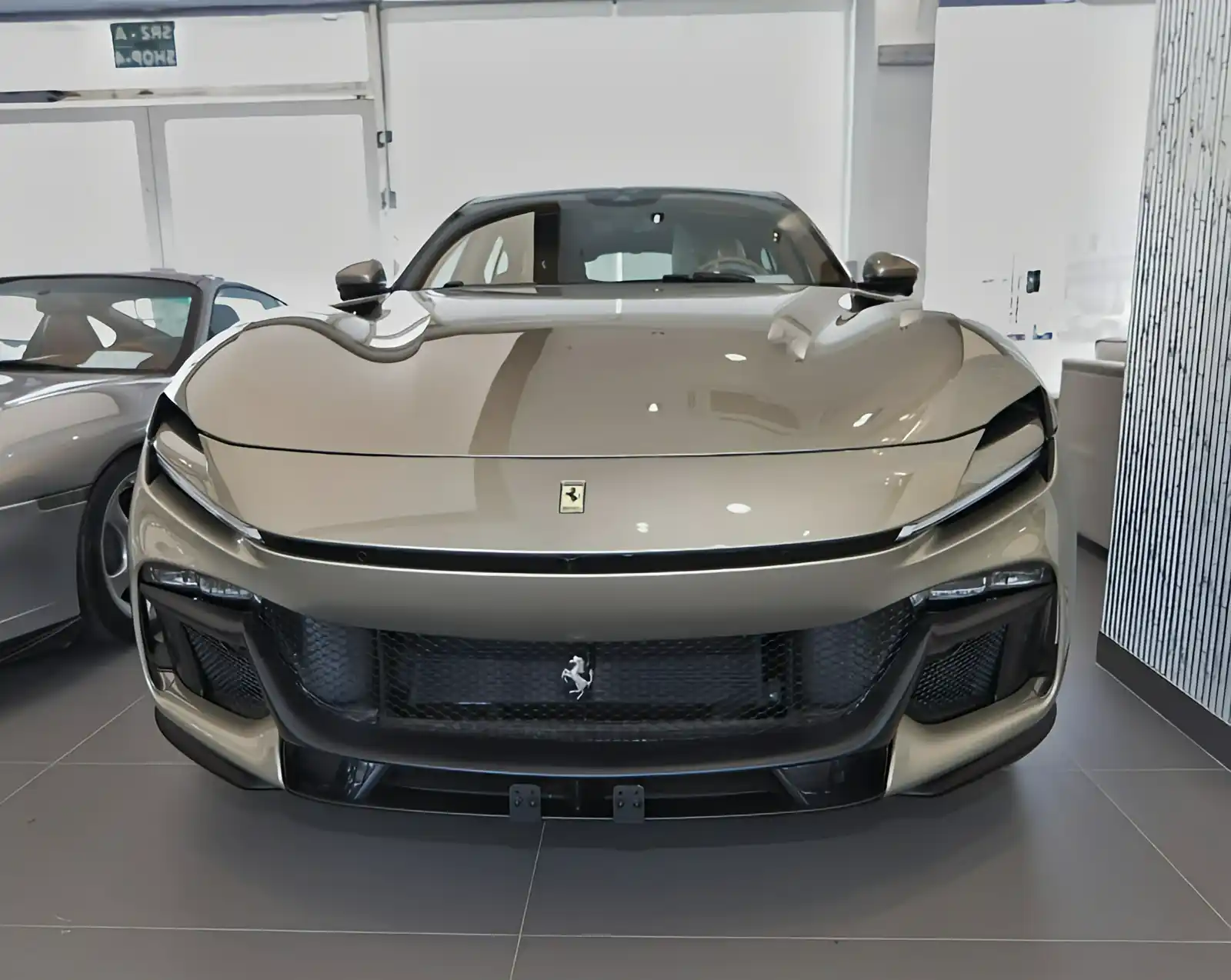 Ferrari PUROSANGUE 2025