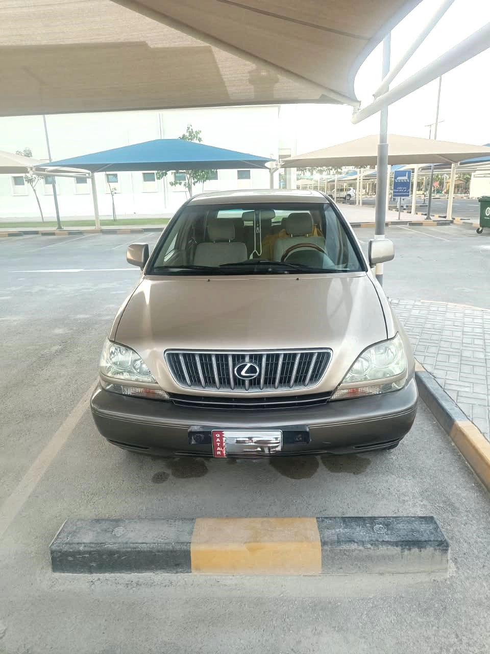 Lexus RX 300 TOP 2002