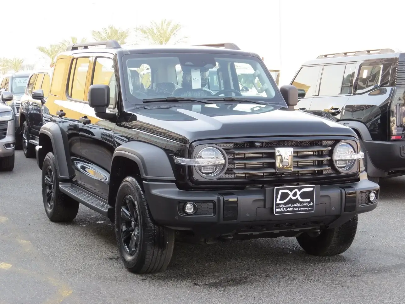 Great Wall TANK 300 2025