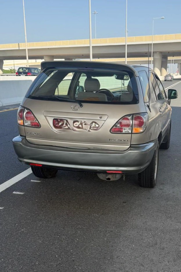 Lexus RX 300 TOP 2002