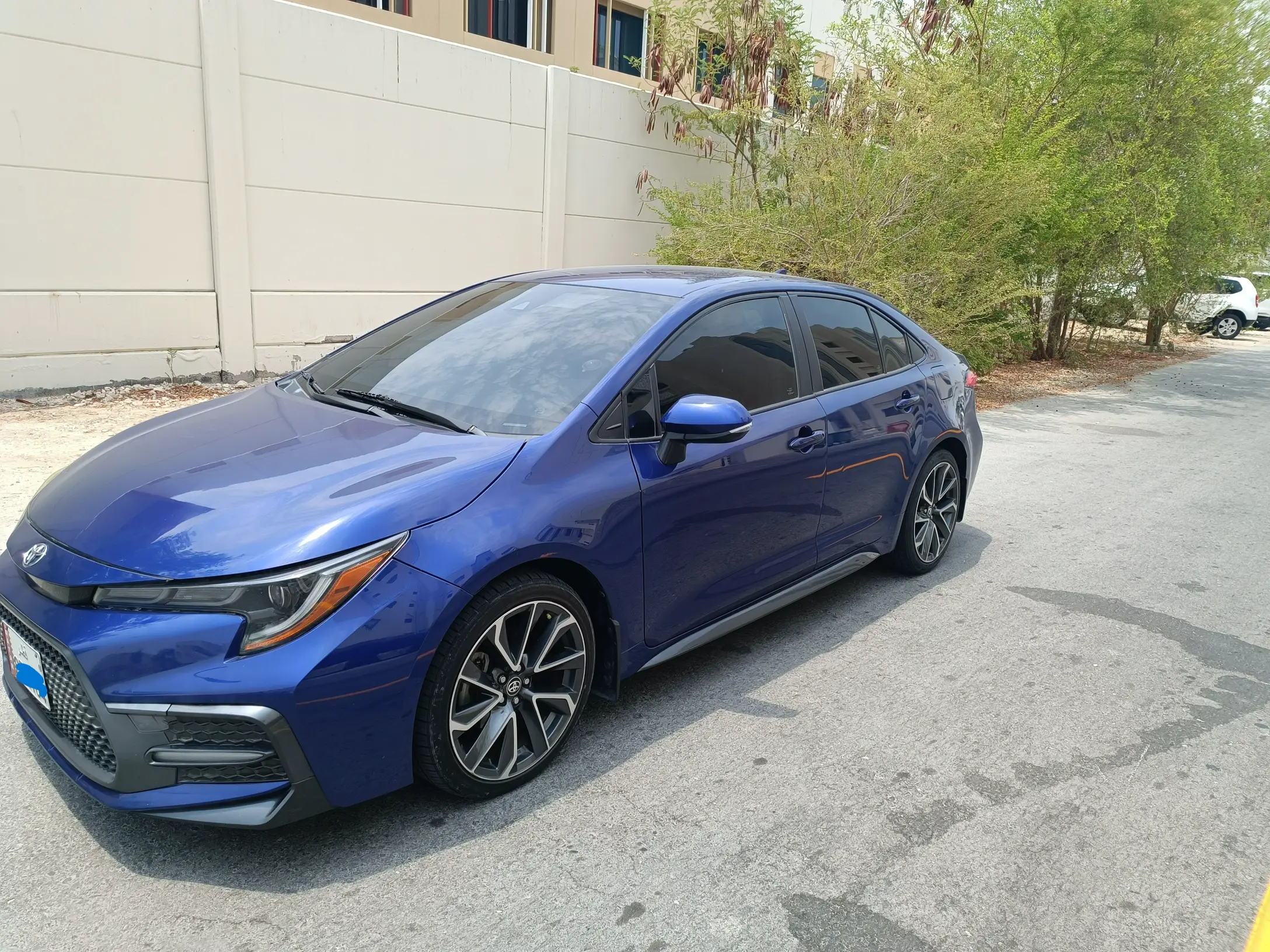 Toyota Corolla SE (Sport Edition) 2021