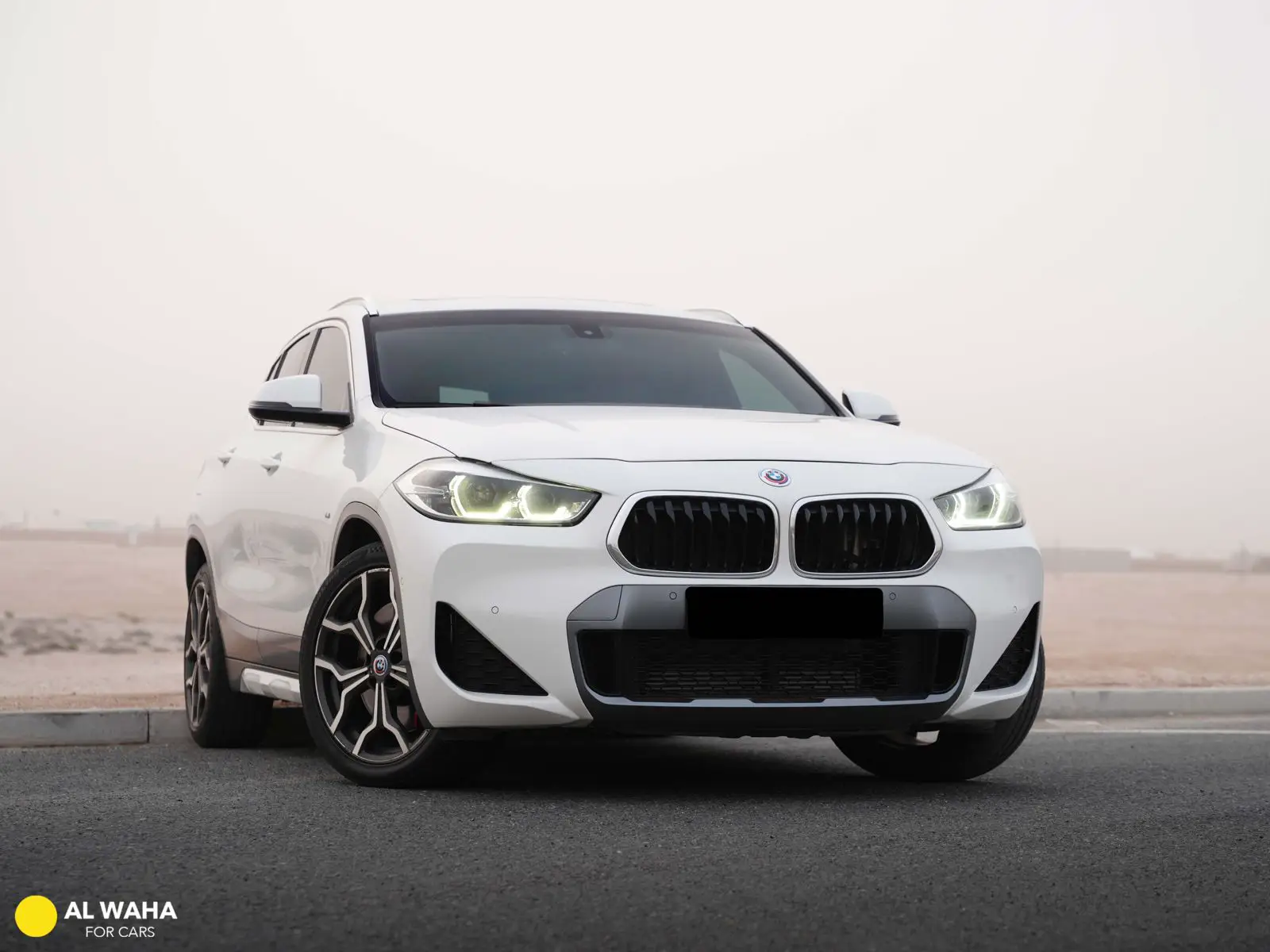 BMW X2 2023