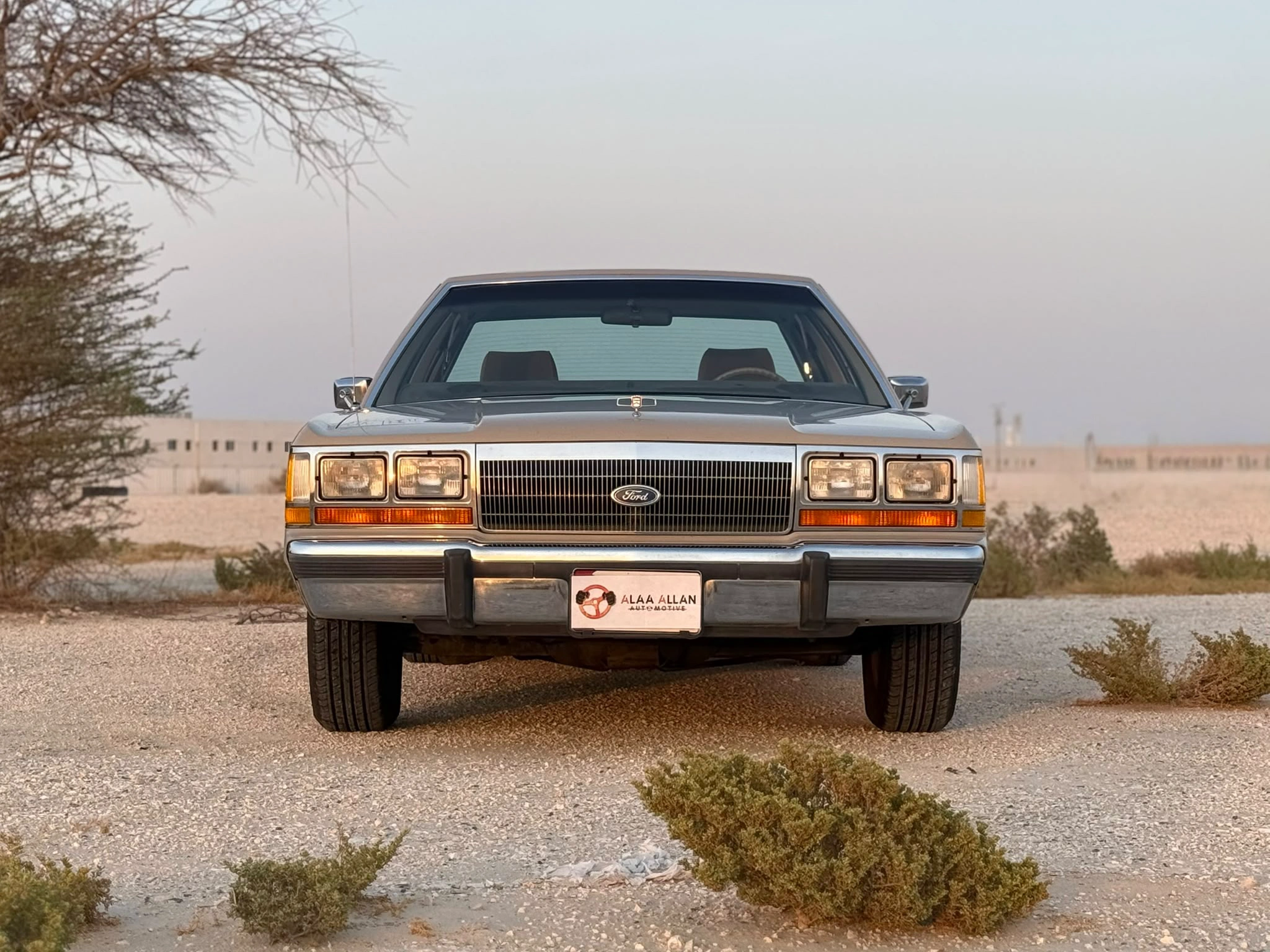 Ford Crown Victoria 1988