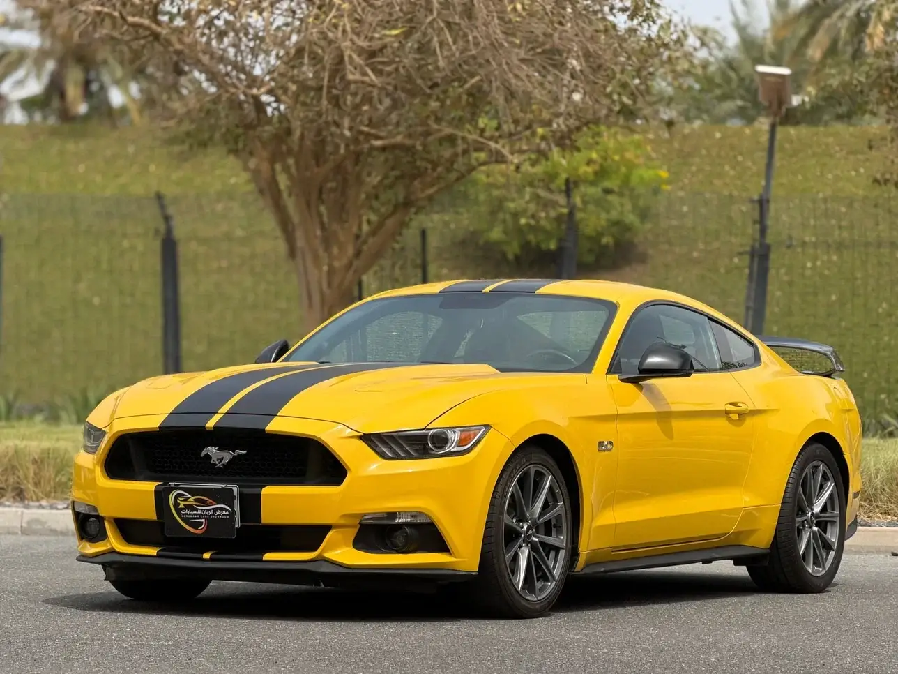 Ford Mustang 2016
