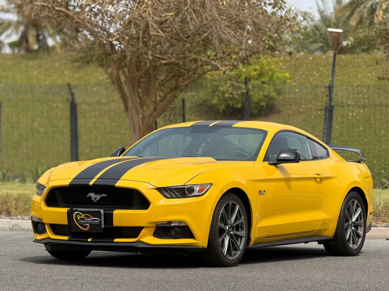 Ford Mustang 2016