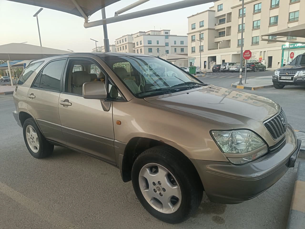 Lexus RX 300 TOP 2002