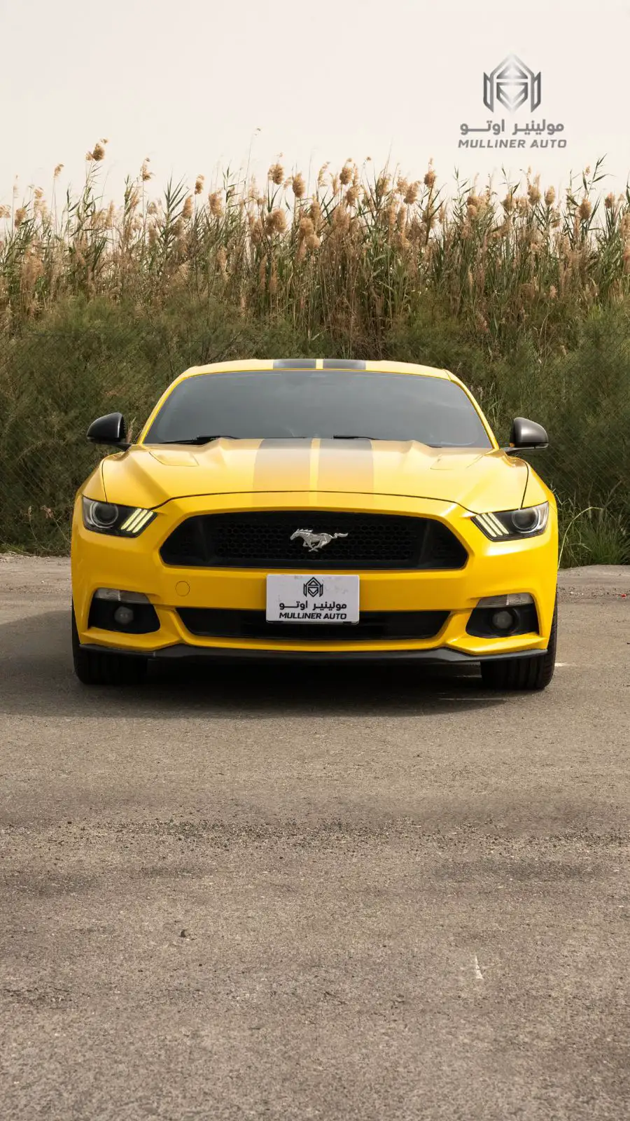 Ford Mustang 2017