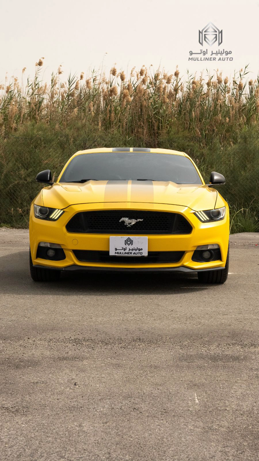 Ford Mustang 2017