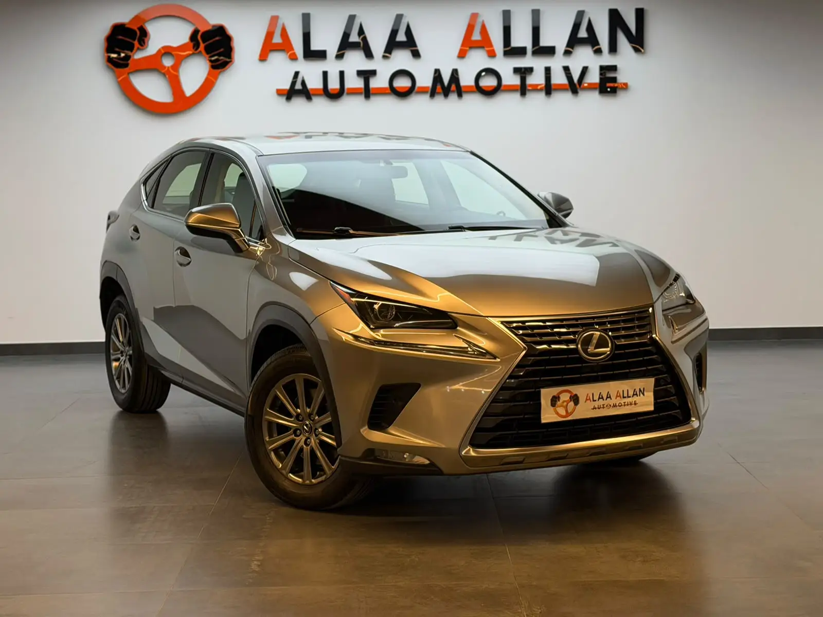 Lexus NX 300 2019