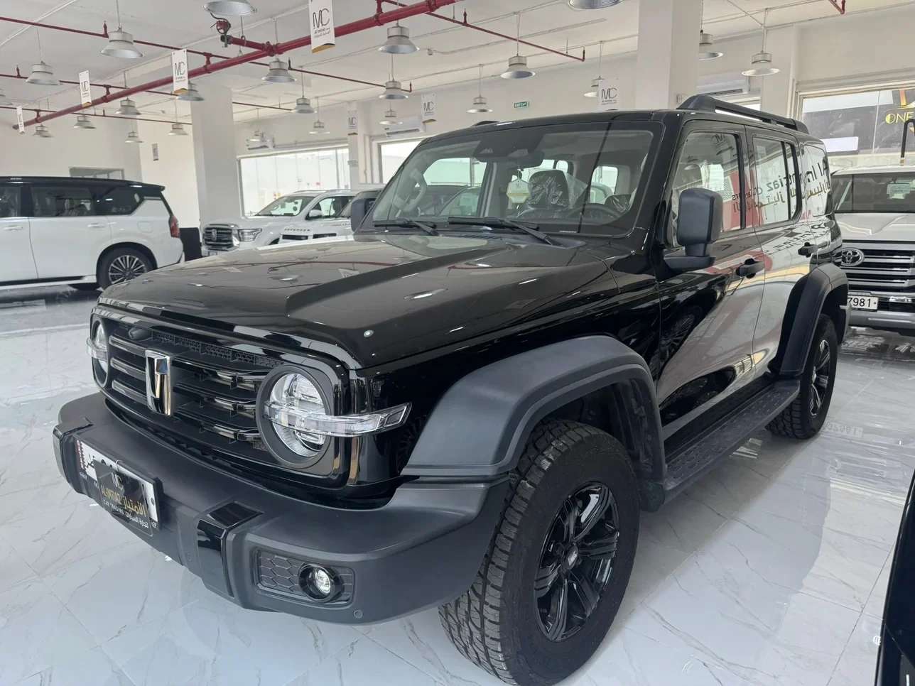Great Wall TANK 300 2025