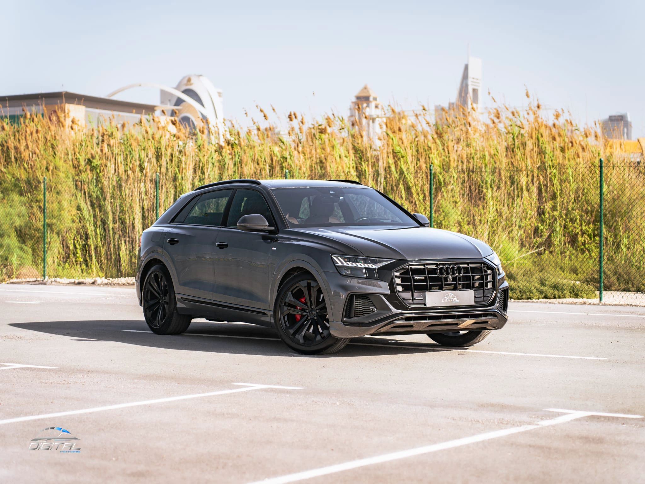 Audi Q8 2019