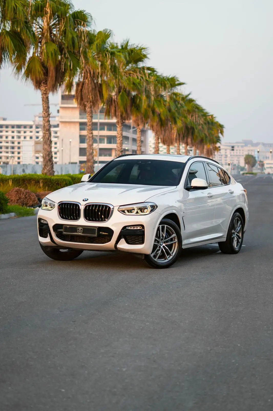 BMW X4 2019