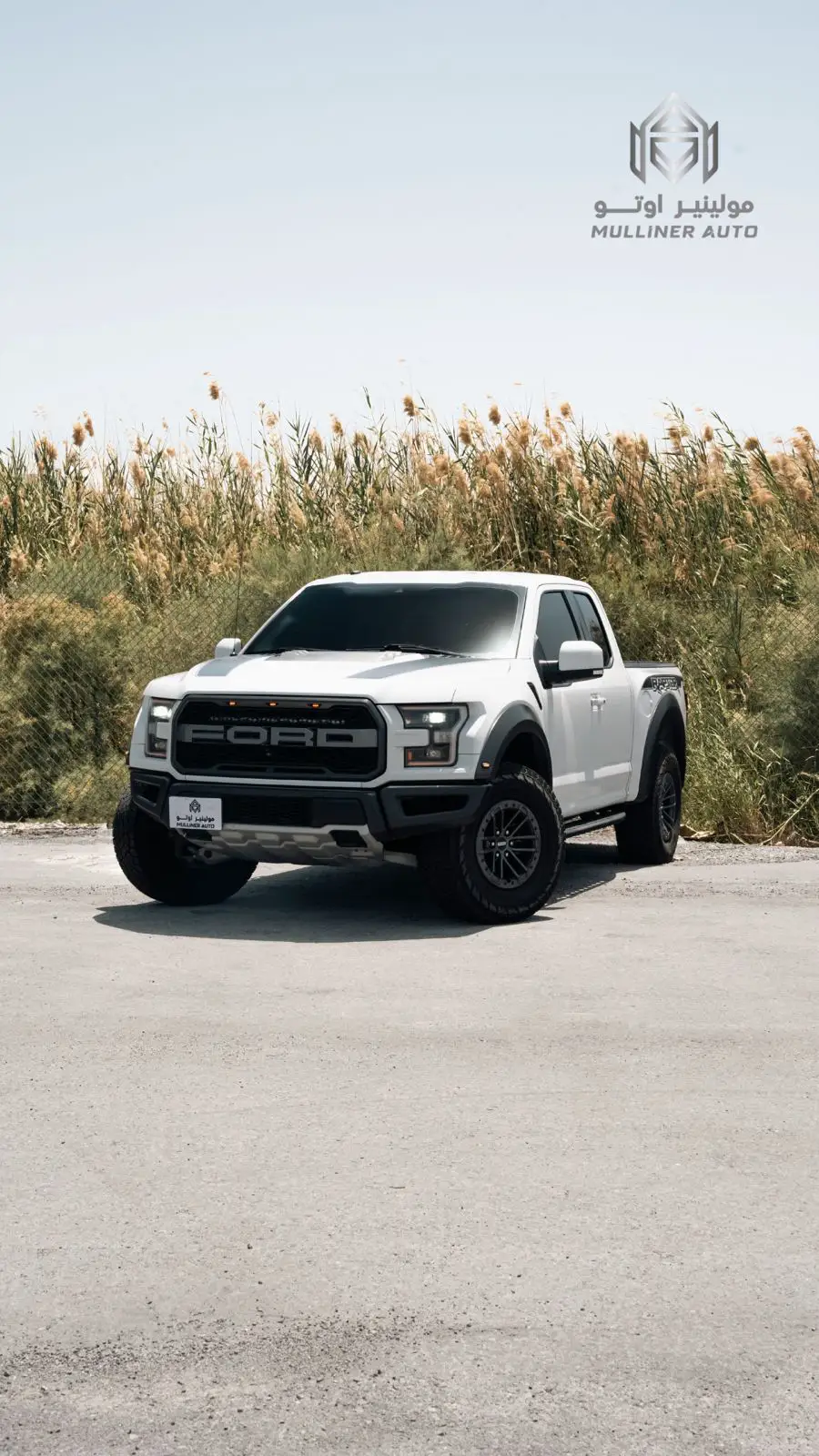 Ford F150 2020