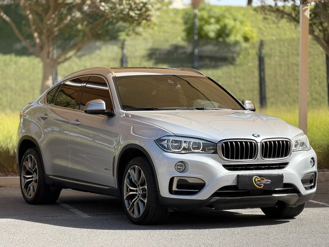 BMW X6 2017