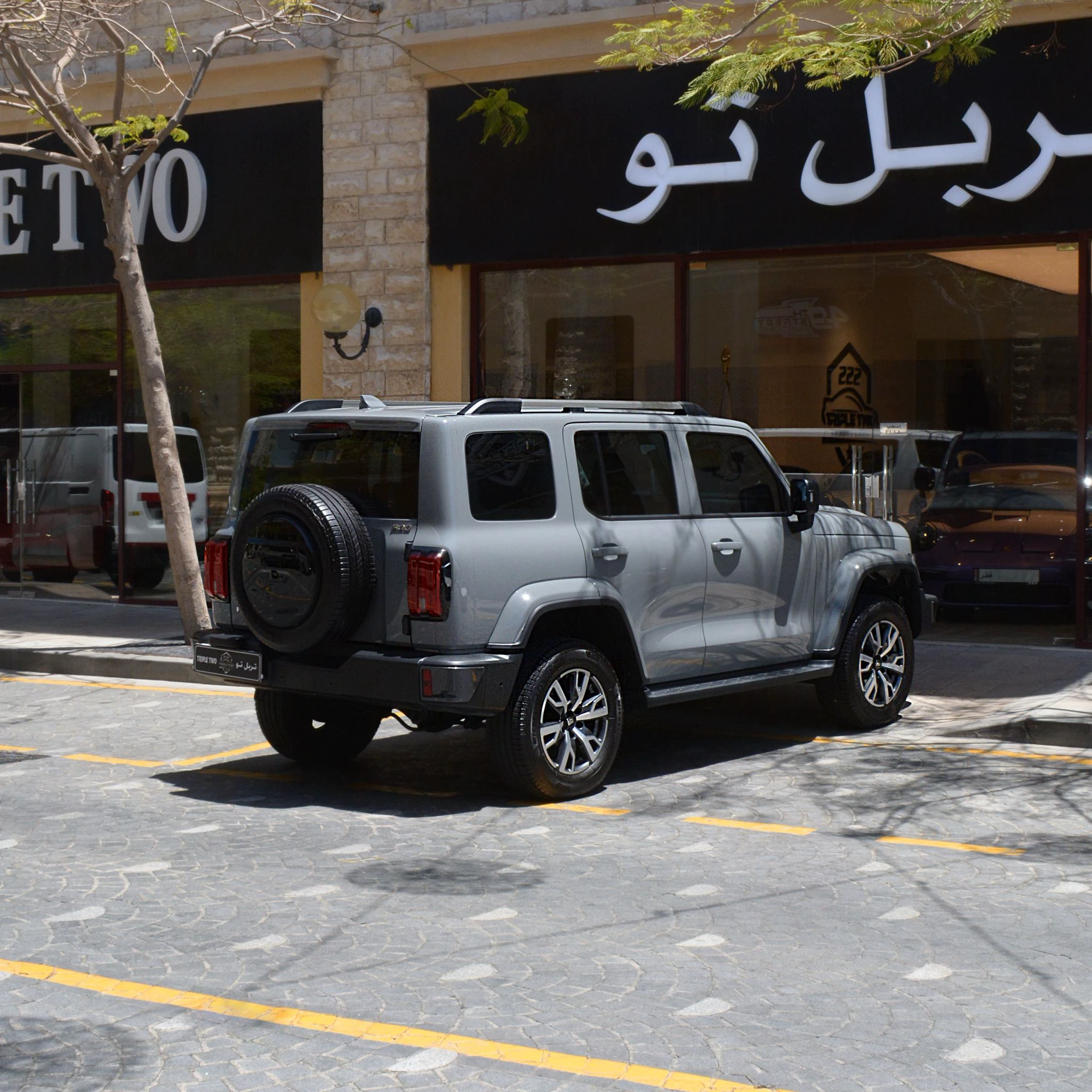 Great Wall TANK 300 2025 — photo 5 for sale in Qatar