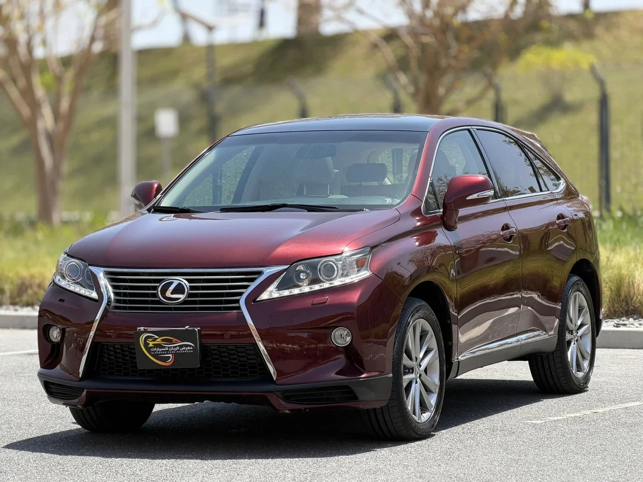 Lexus RX 350 2013
