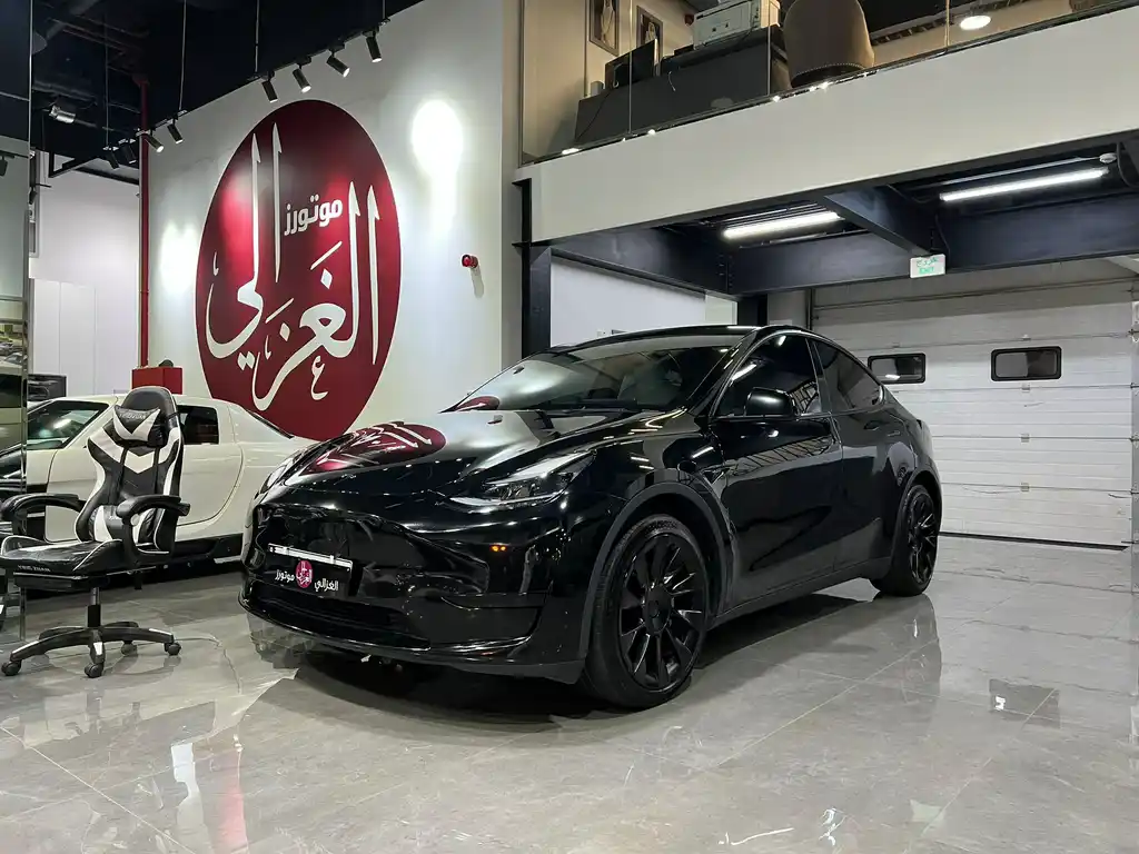 Tesla Model Y 2025