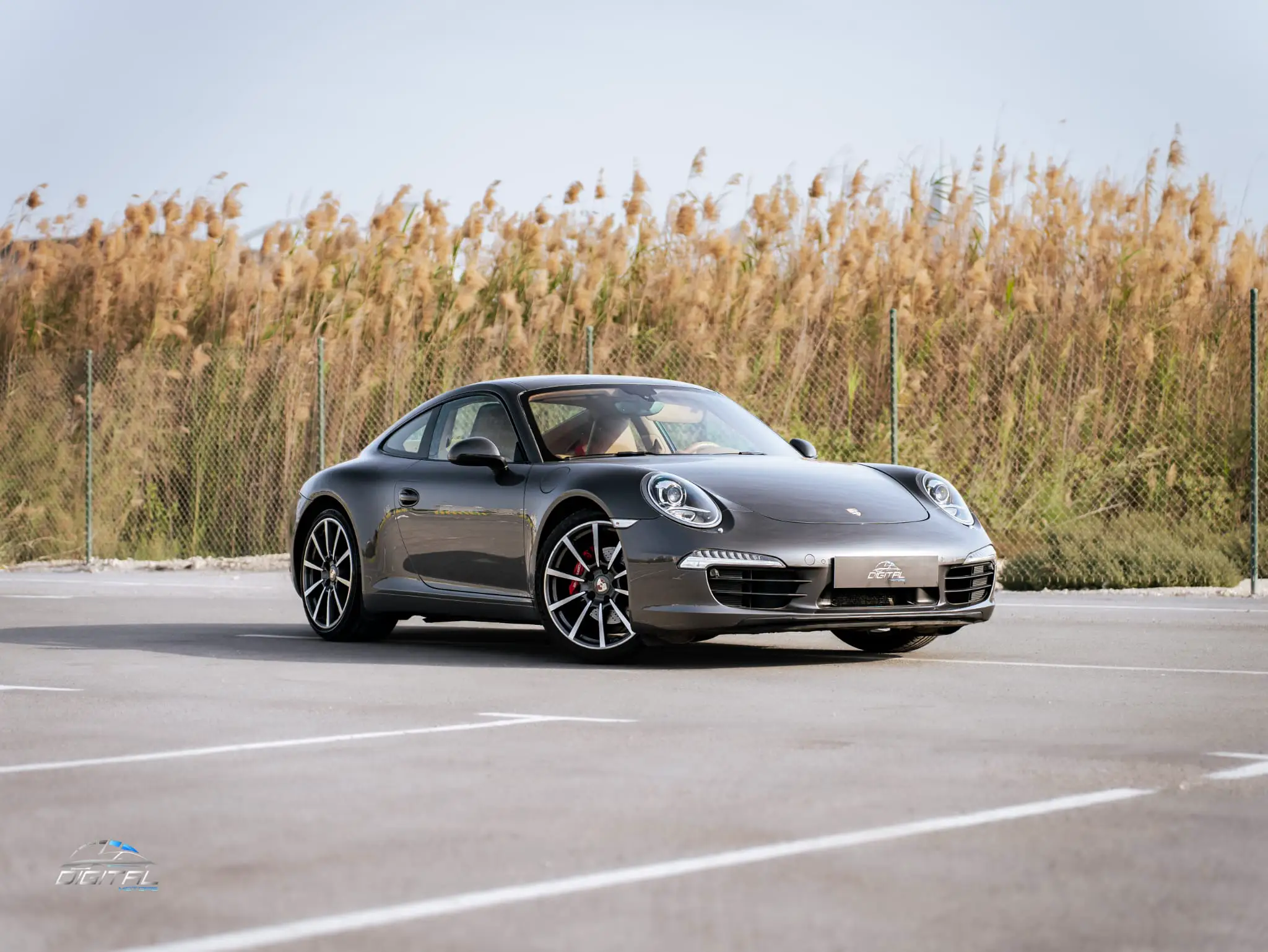 Porsche 911 CARRERA COUPE 2013