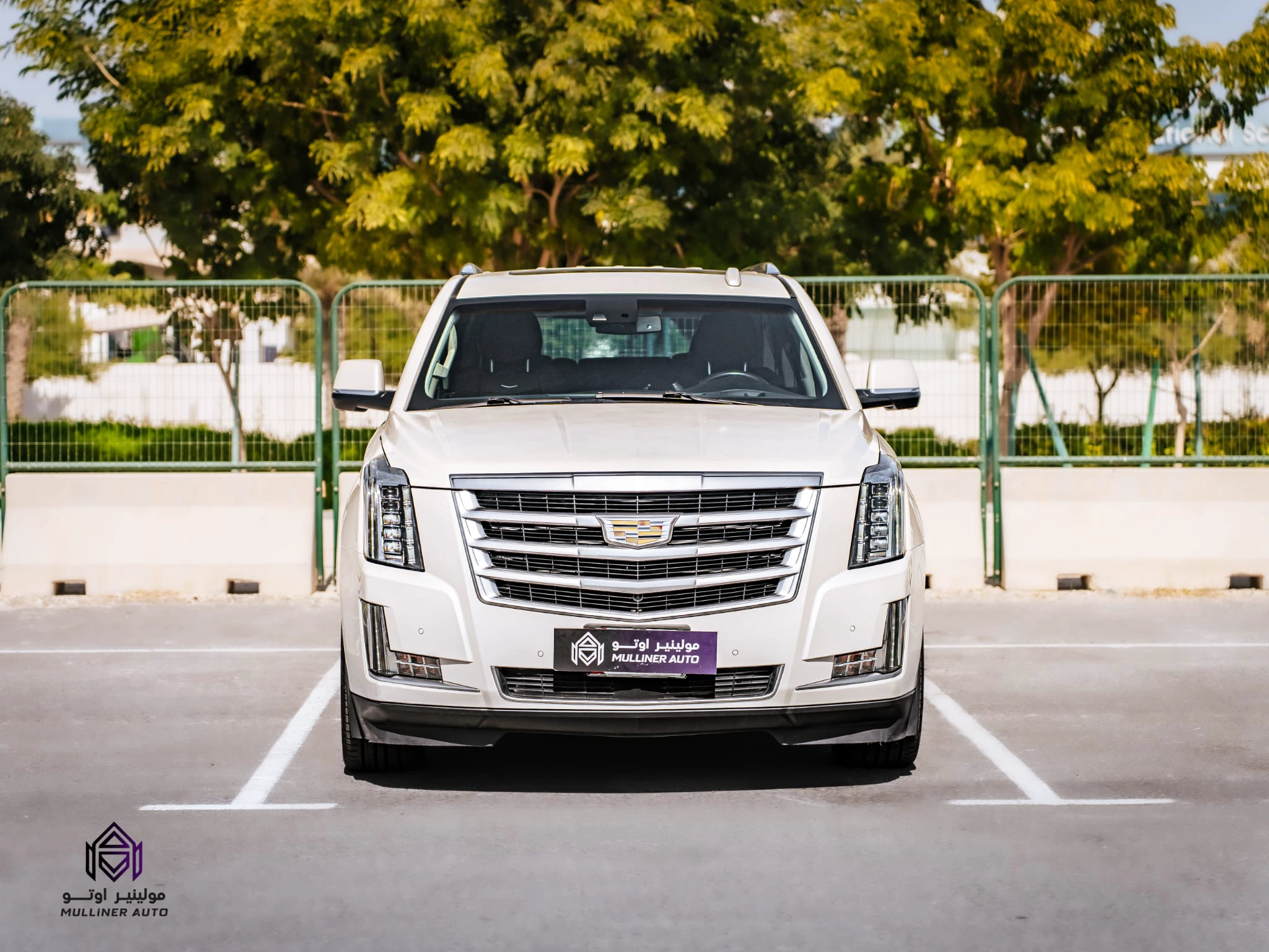 Cadillac Escalade 2015