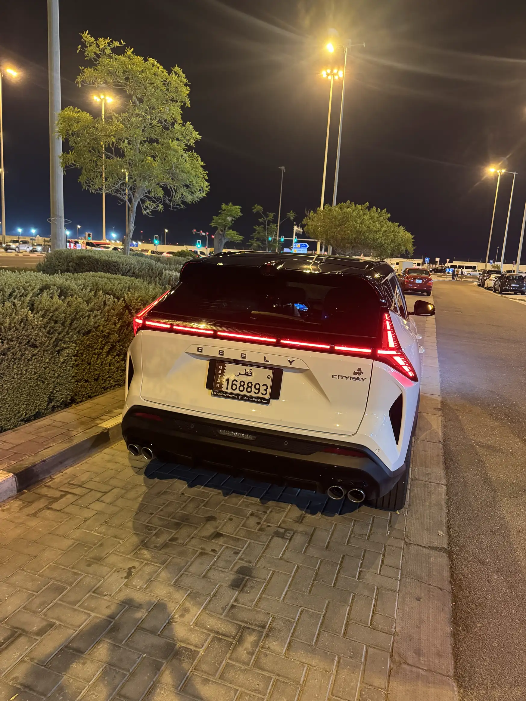 Geely CITYRAY TOP 2026