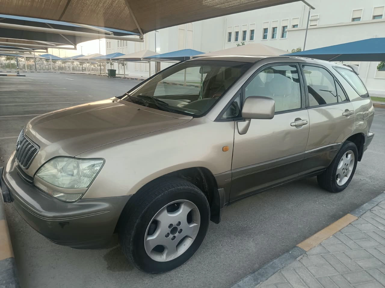 Lexus RX 300 TOP 2002