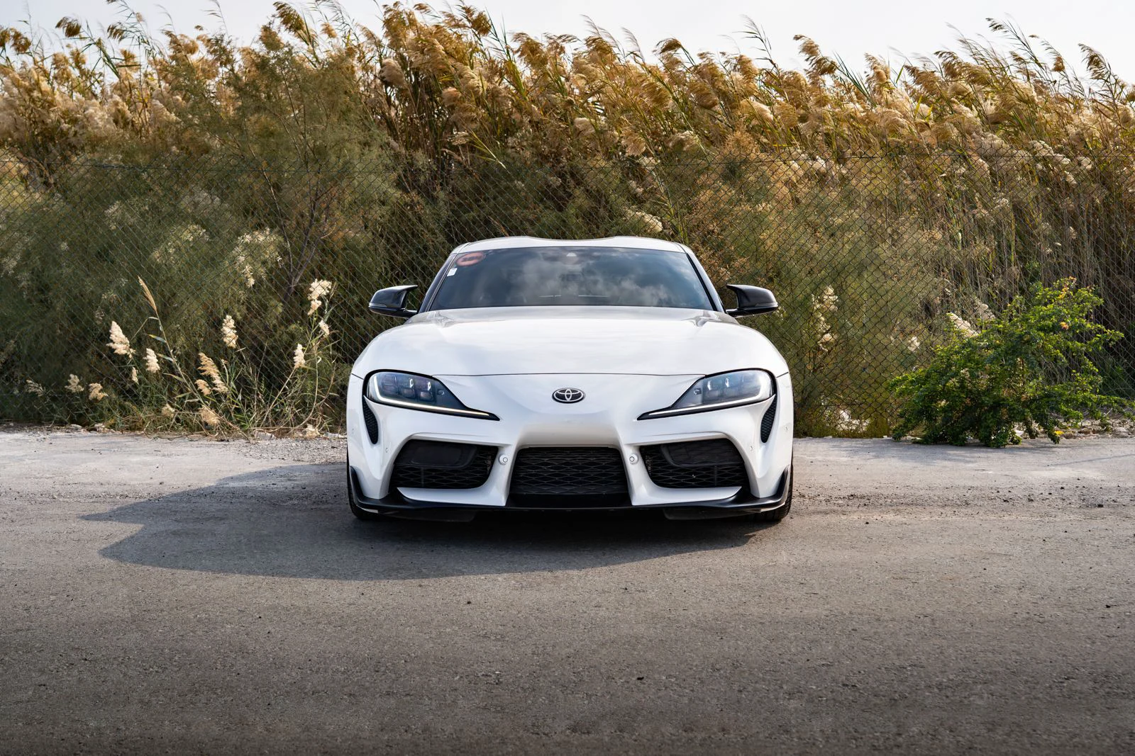 Toyota Supra 2022