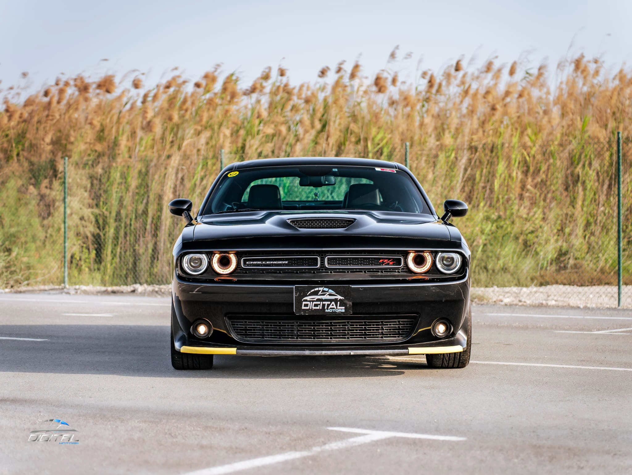 Dodge Challenger 2023