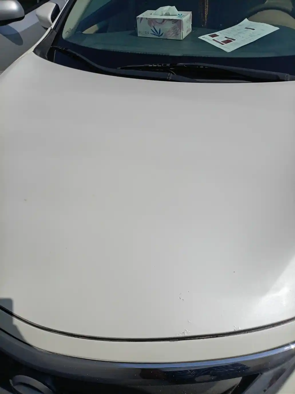 Nissan Altima صالون 2013