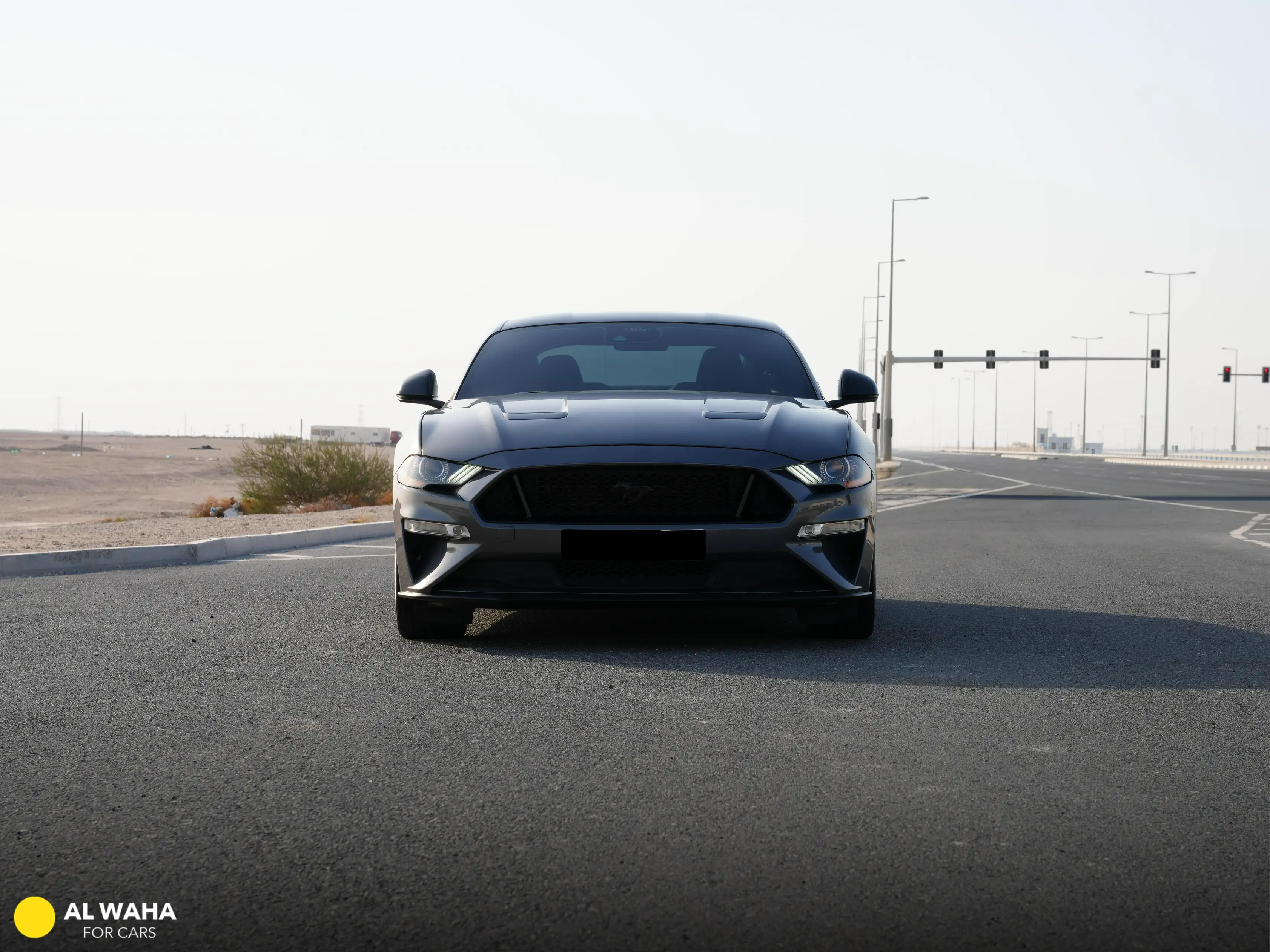 Ford Mustang 2022
