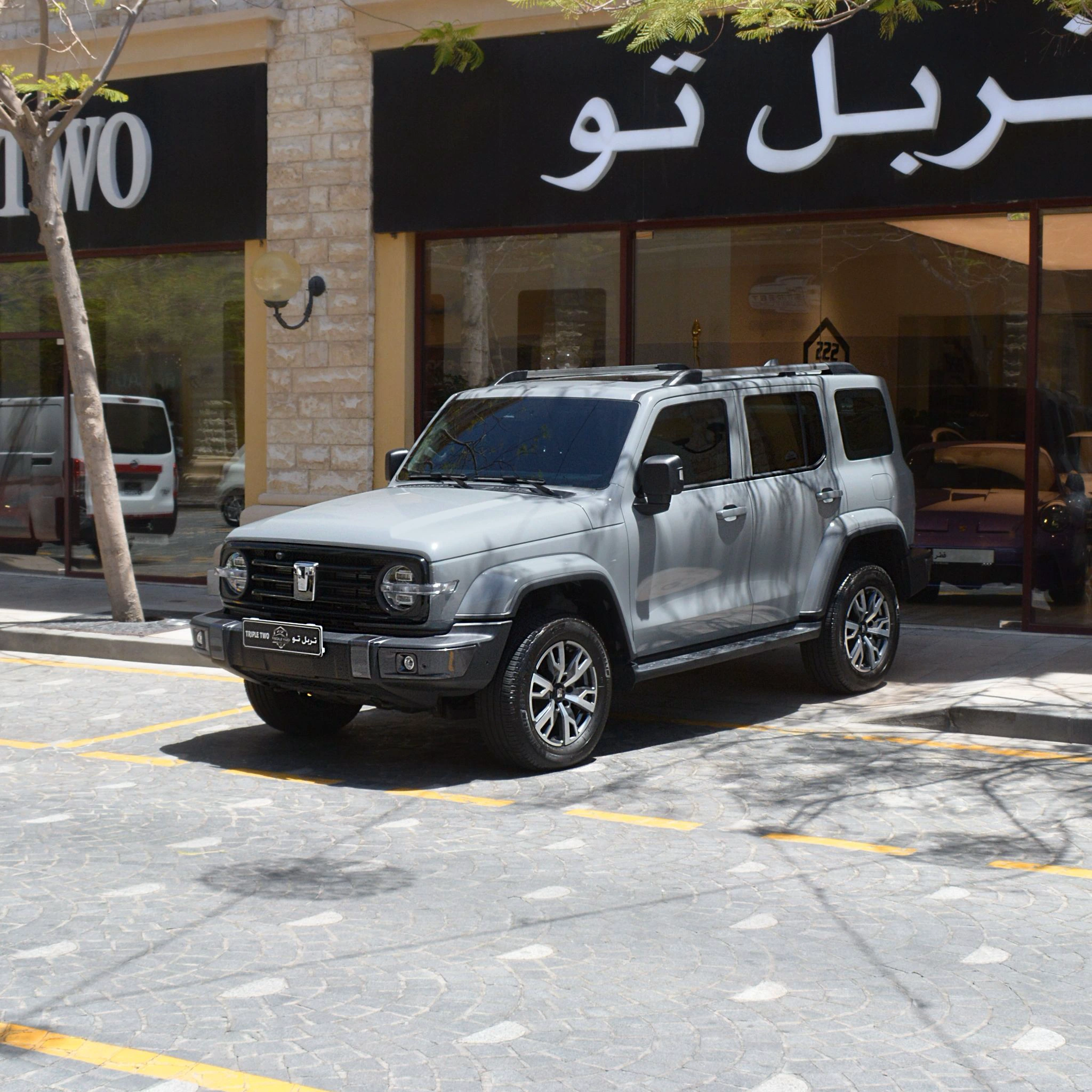 Great Wall TANK 300 2025 — photo 4 for sale in Qatar
